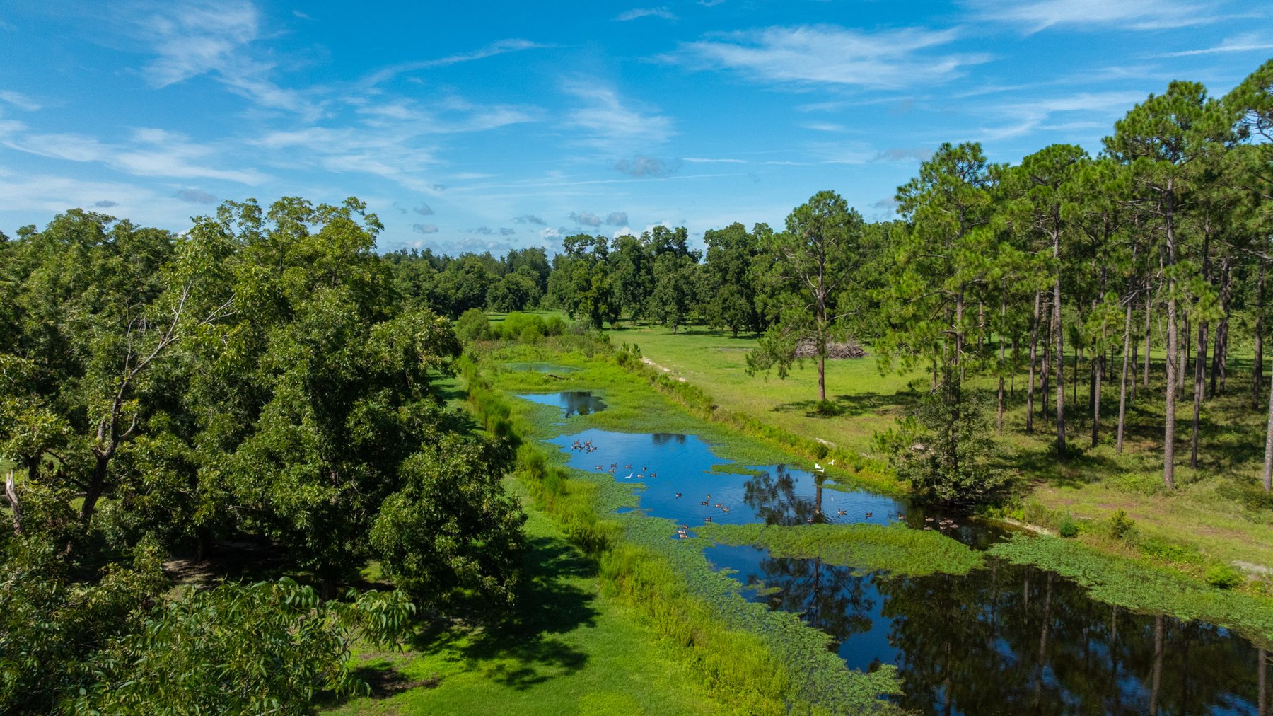 Image for 235± Acres – Woodard Orchard - Irrigated Pecan Orchard with Pond,  Homes, Buildings & Improvements - Prime Development Potential