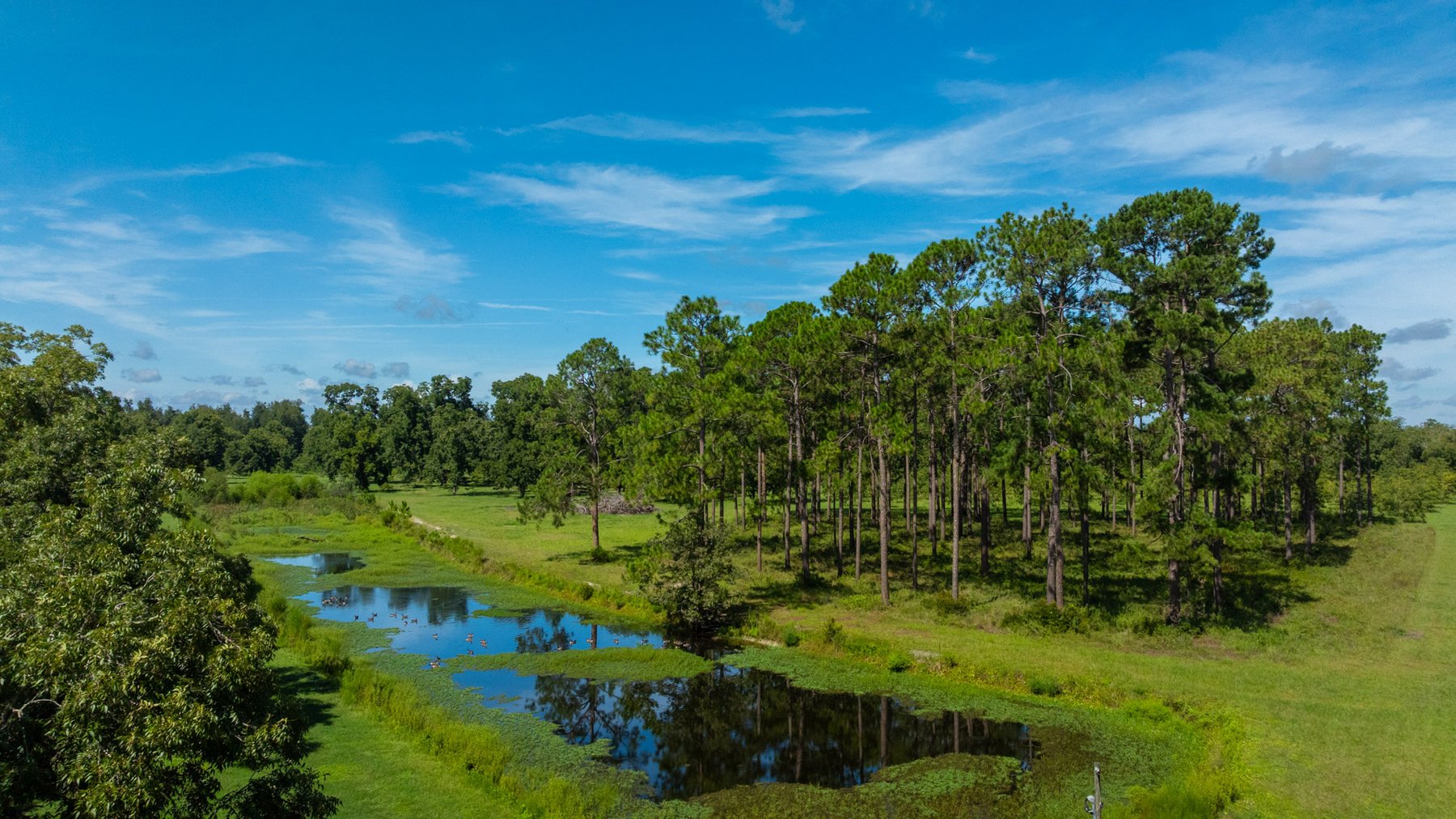 Image for 235± Acres – Woodard Orchard - Irrigated Pecan Orchard with Pond,  Homes, Buildings & Improvements - Prime Development Potential