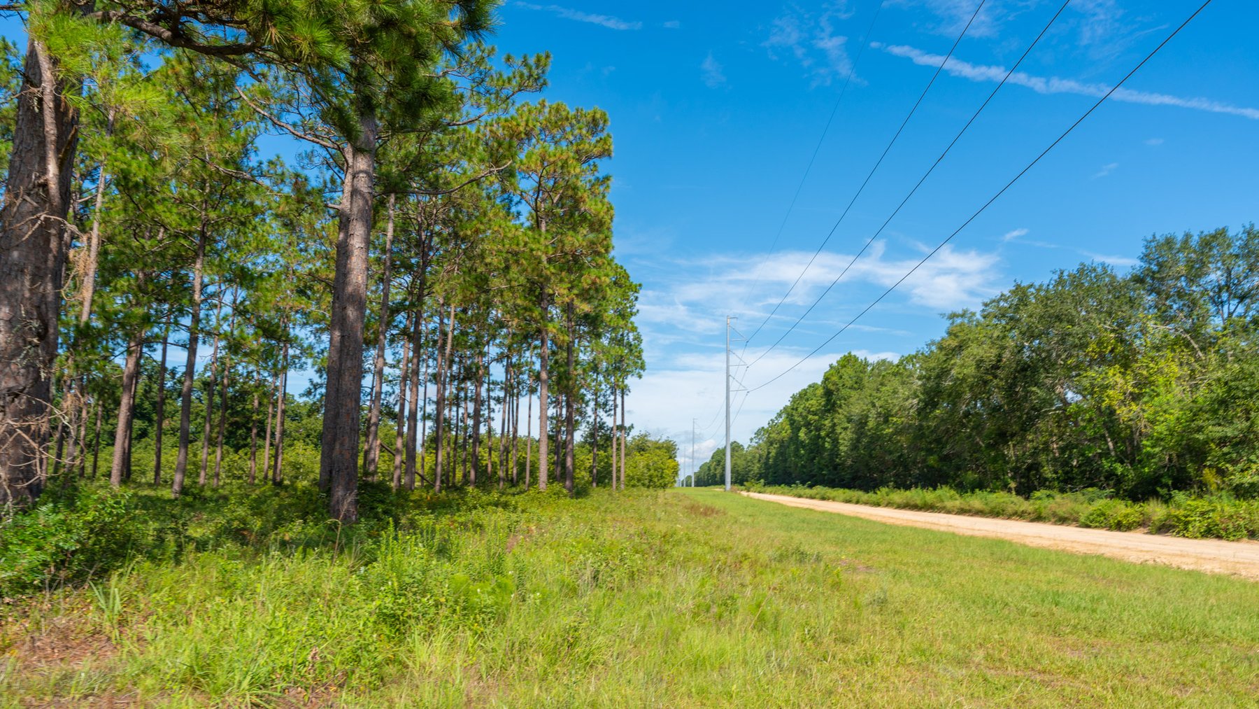 Image for 235± Acres – Woodard Orchard - Irrigated Pecan Orchard with Pond,  Homes, Buildings & Improvements - Prime Development Potential