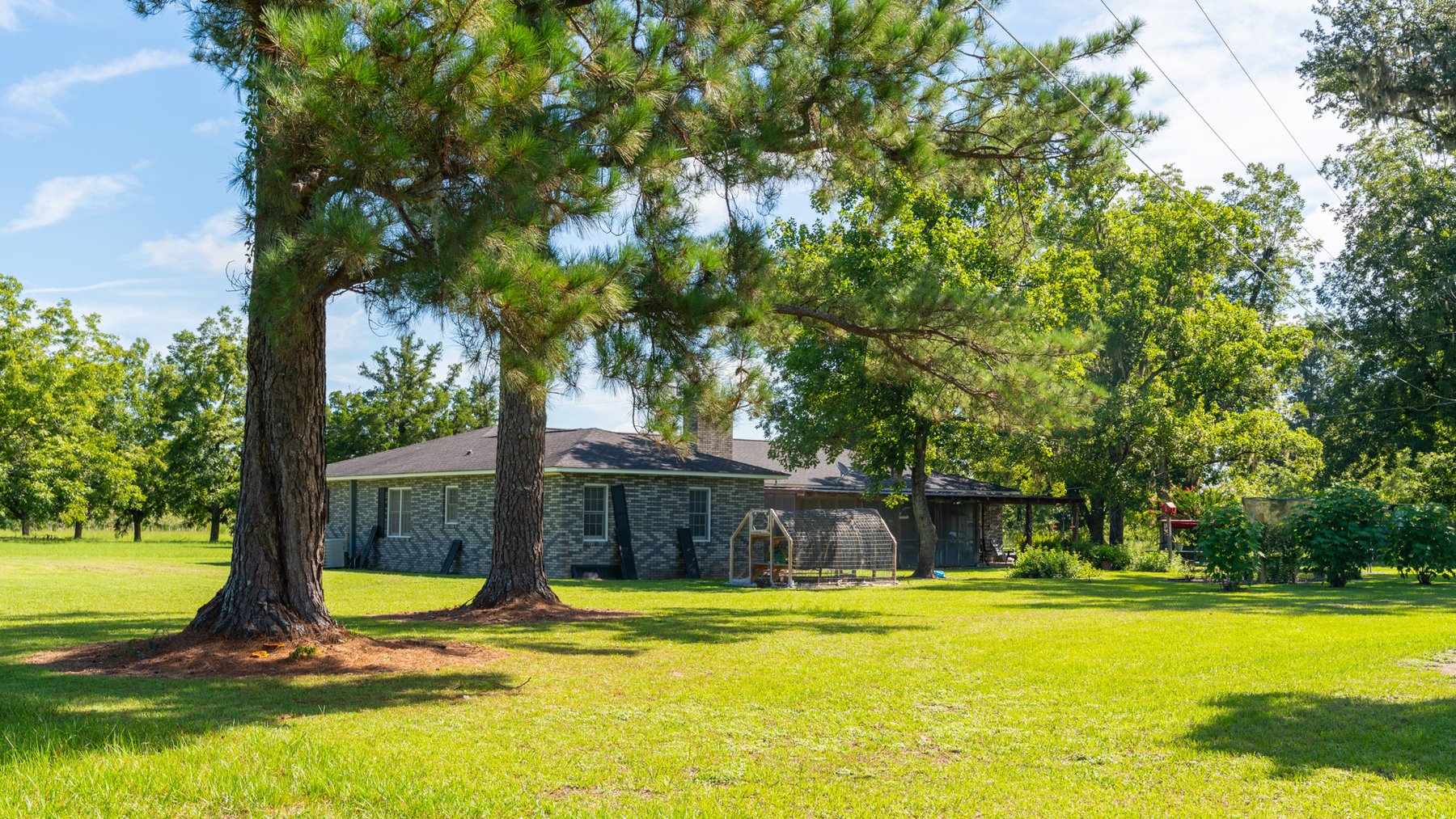 Image for 235± Acres – Woodard Orchard - Irrigated Pecan Orchard with Pond,  Homes, Buildings & Improvements - Prime Development Potential