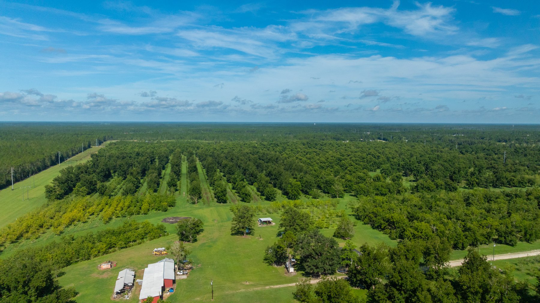 Image for 235± Acres – Woodard Orchard - Irrigated Pecan Orchard with Pond,  Homes, Buildings & Improvements - Prime Development Potential