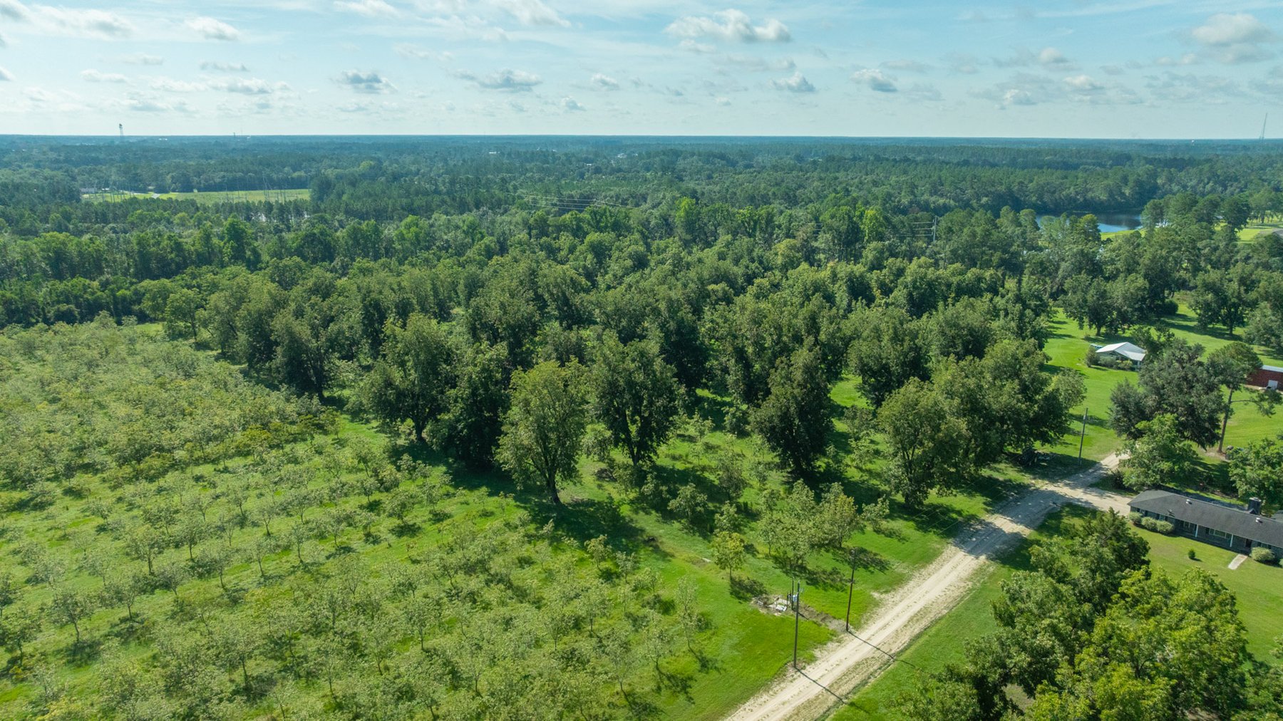 Image for 235± Acres – Woodard Orchard - Irrigated Pecan Orchard with Pond,  Homes, Buildings & Improvements - Prime Development Potential