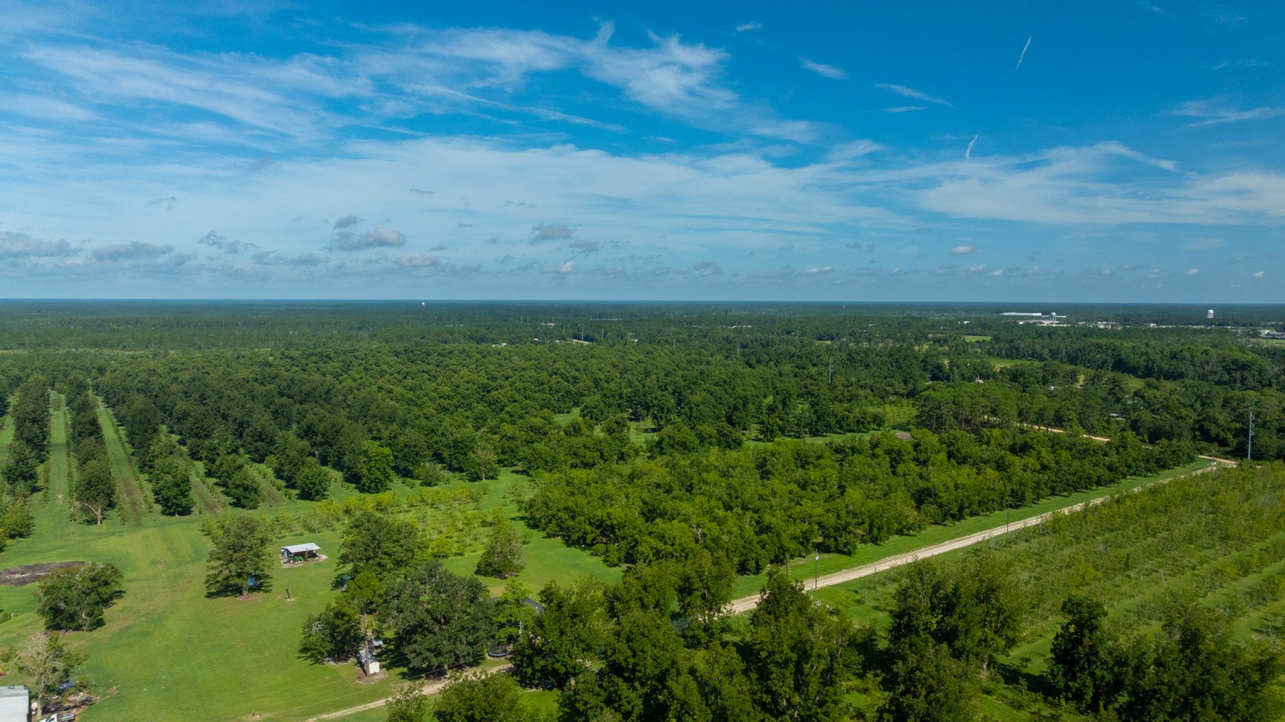 Image for 235± Acres – Woodard Orchard - Irrigated Pecan Orchard with Pond,  Homes, Buildings & Improvements - Prime Development Potential