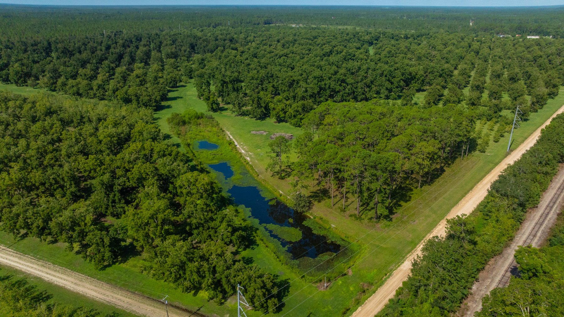 Image for 235± Acres – Woodard Orchard - Irrigated Pecan Orchard with Pond,  Homes, Buildings & Improvements - Prime Development Potential