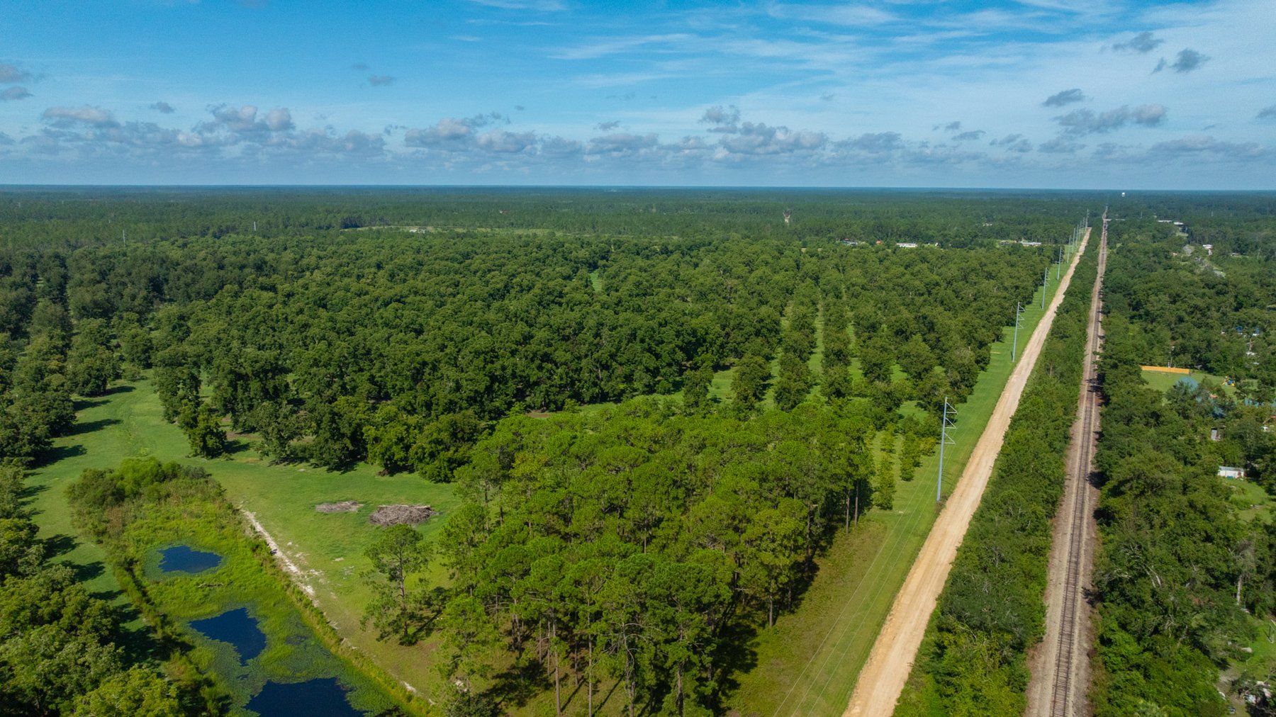Image for 235± Acres – Woodard Orchard - Irrigated Pecan Orchard with Pond,  Homes, Buildings & Improvements - Prime Development Potential