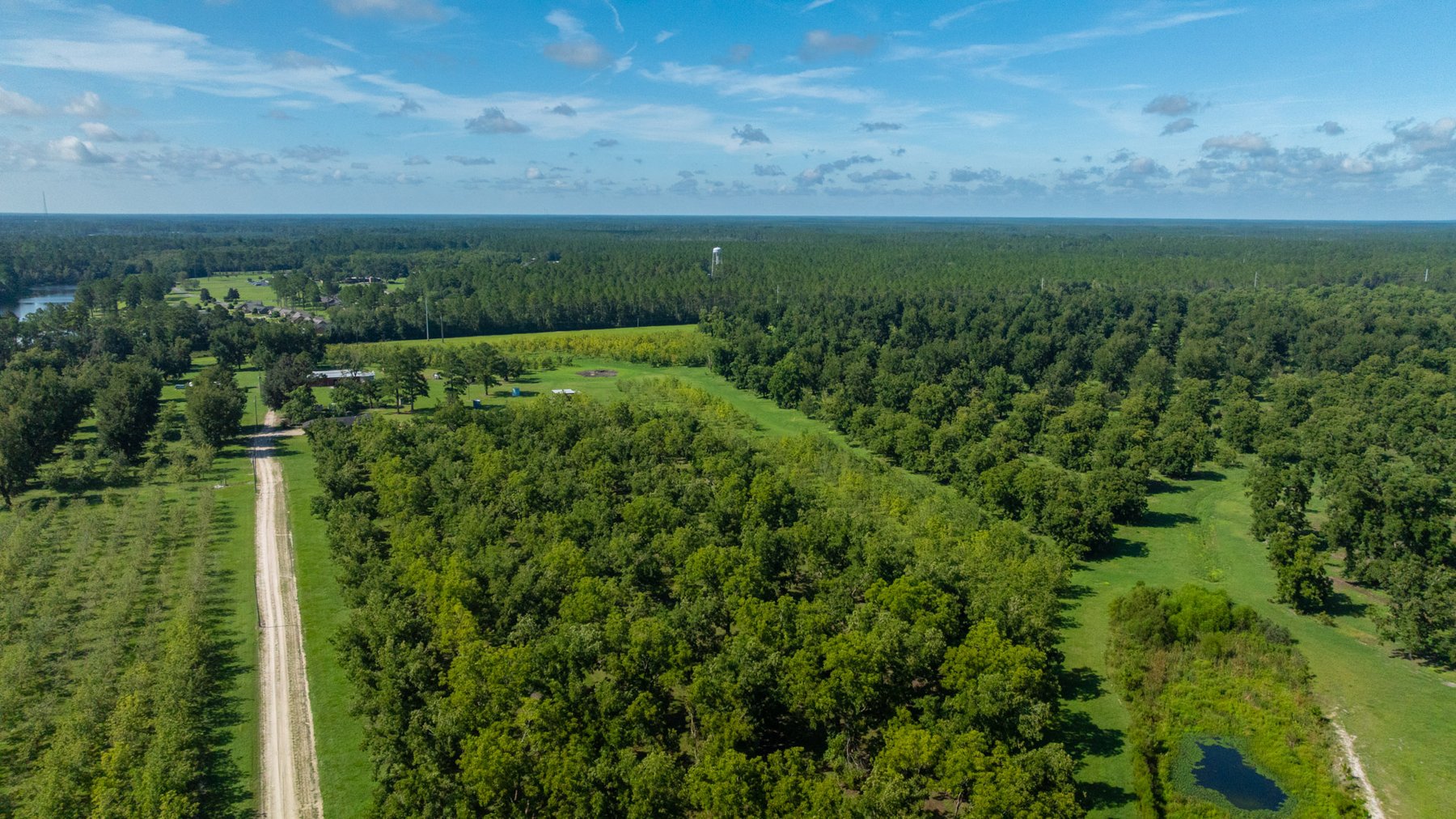 Image for 235± Acres – Woodard Orchard - Irrigated Pecan Orchard with Pond,  Homes, Buildings & Improvements - Prime Development Potential
