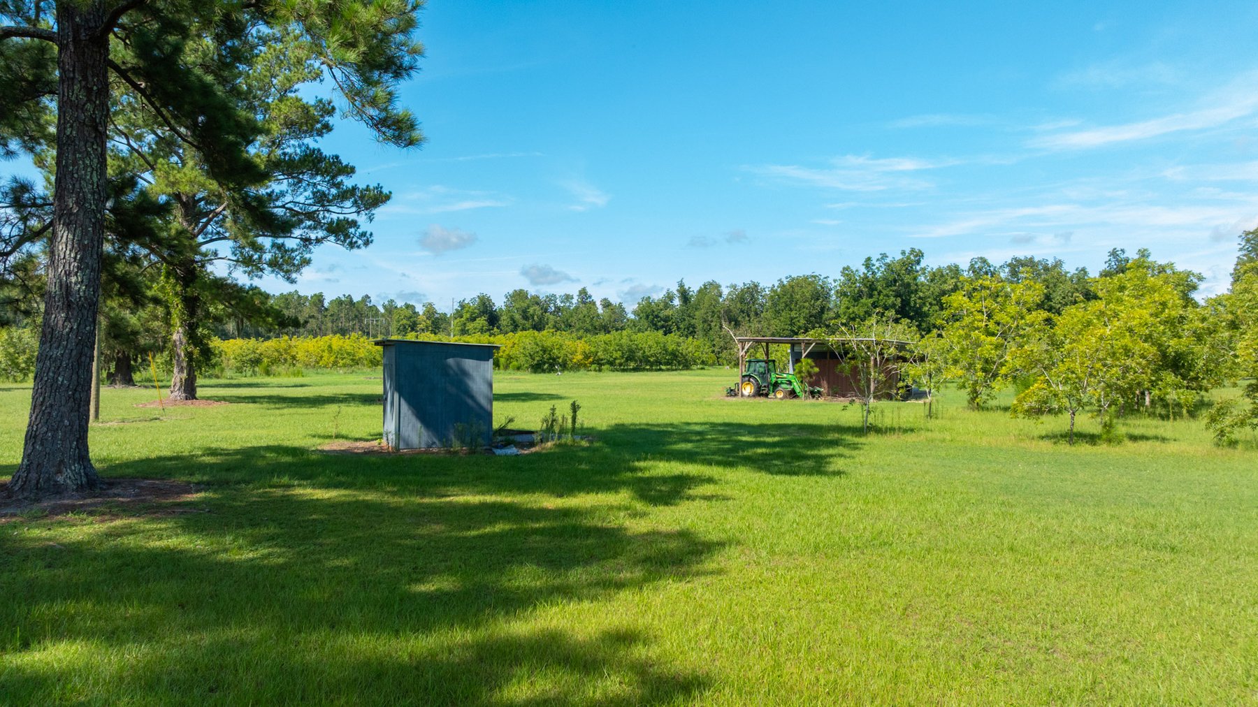 Image for 235± Acres – Woodard Orchard - Irrigated Pecan Orchard with Pond,  Homes, Buildings & Improvements - Prime Development Potential