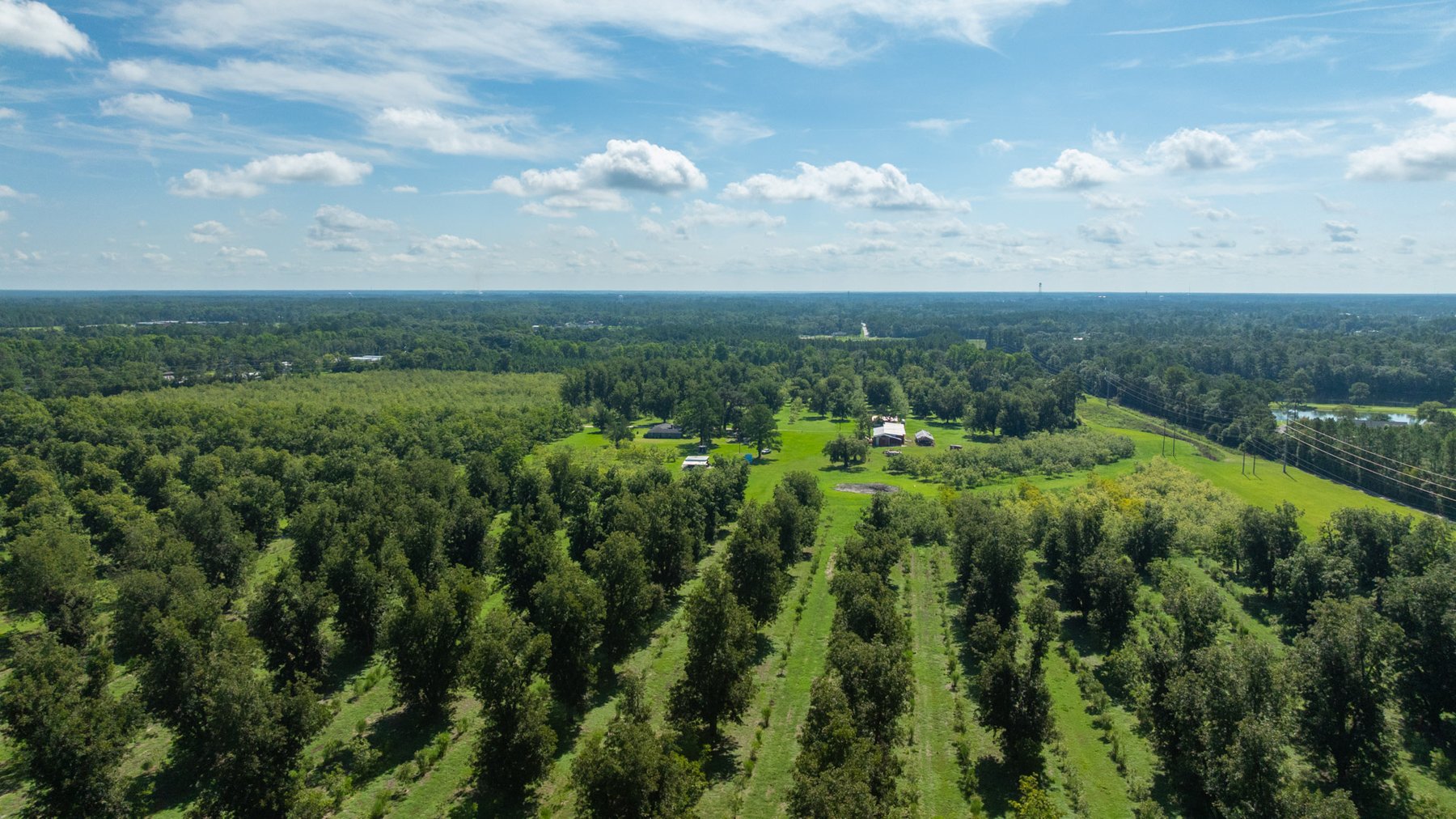Image for 235± Acres – Woodard Orchard - Irrigated Pecan Orchard with Pond,  Homes, Buildings & Improvements - Prime Development Potential