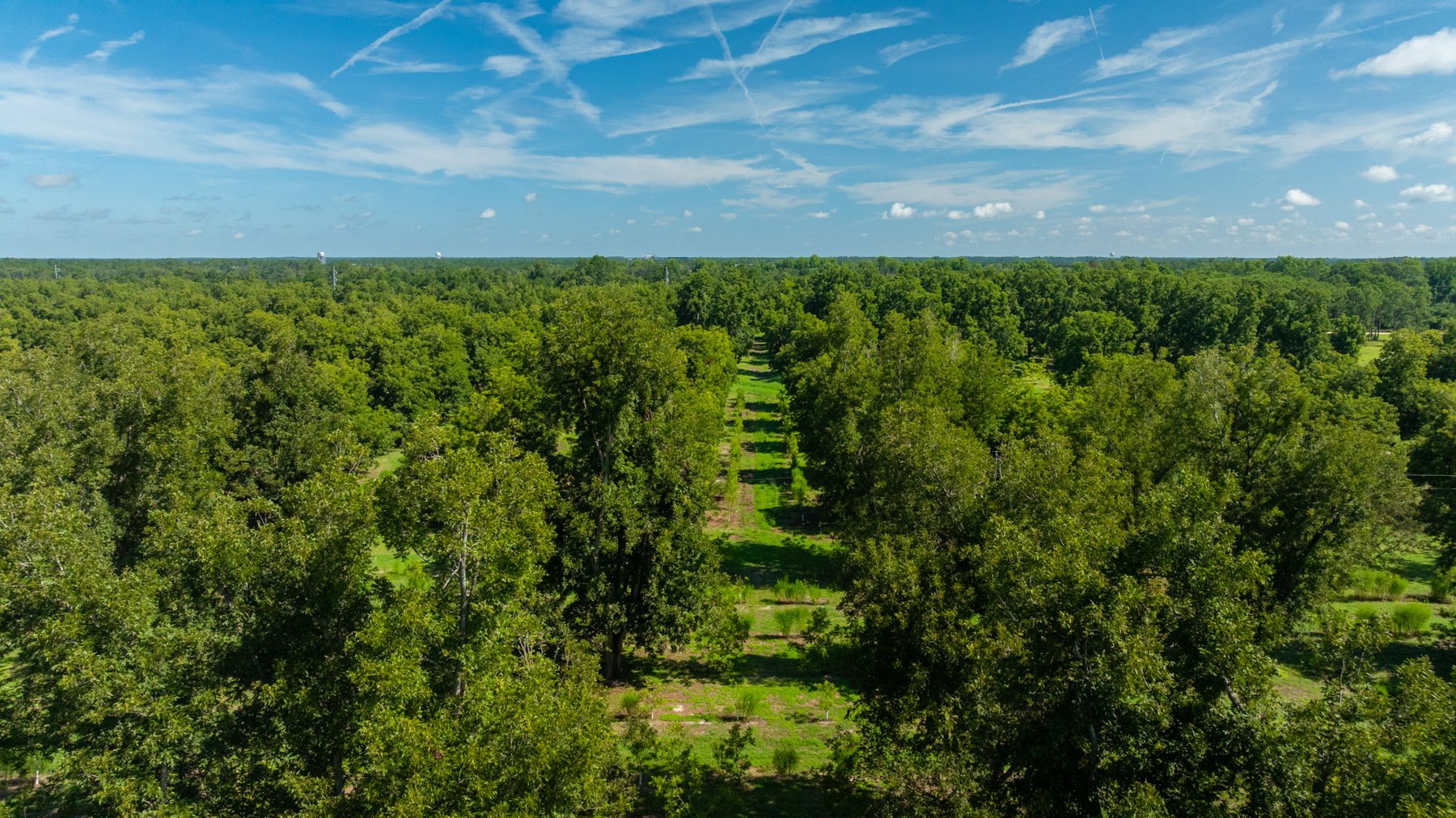 Image for 235± Acres – Woodard Orchard - Irrigated Pecan Orchard with Pond,  Homes, Buildings & Improvements - Prime Development Potential