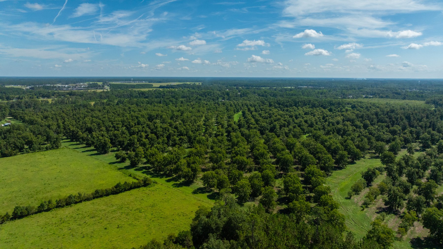 Image for 235± Acres – Woodard Orchard - Irrigated Pecan Orchard with Pond,  Homes, Buildings & Improvements - Prime Development Potential