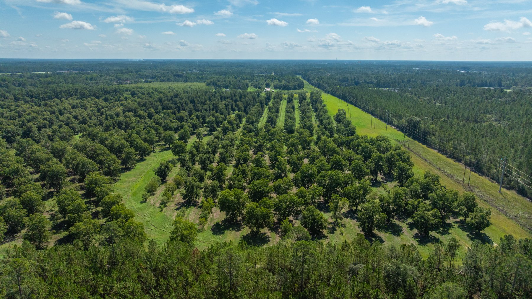 Image for 235± Acres – Woodard Orchard - Irrigated Pecan Orchard with Pond,  Homes, Buildings & Improvements - Prime Development Potential