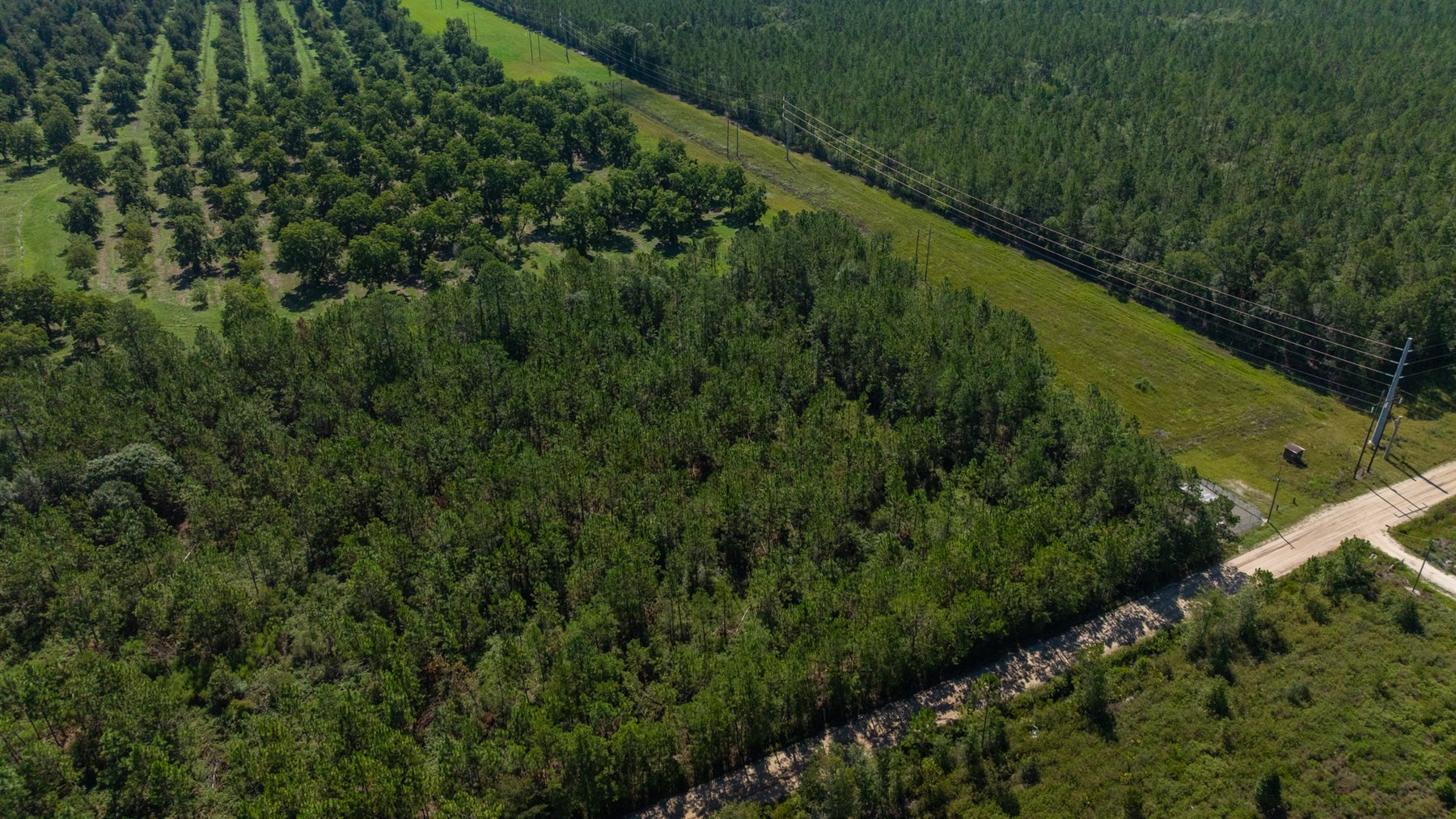 Image for 235± Acres – Woodard Orchard - Irrigated Pecan Orchard with Pond,  Homes, Buildings & Improvements - Prime Development Potential