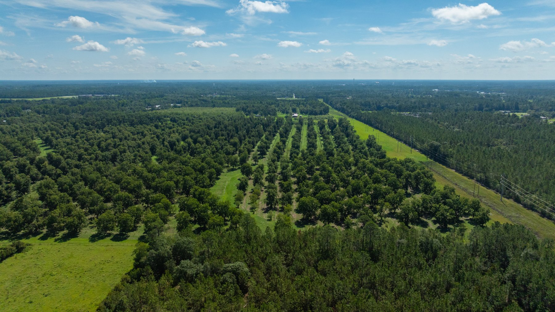 Image for 235± Acres – Woodard Orchard - Irrigated Pecan Orchard with Pond,  Homes, Buildings & Improvements - Prime Development Potential