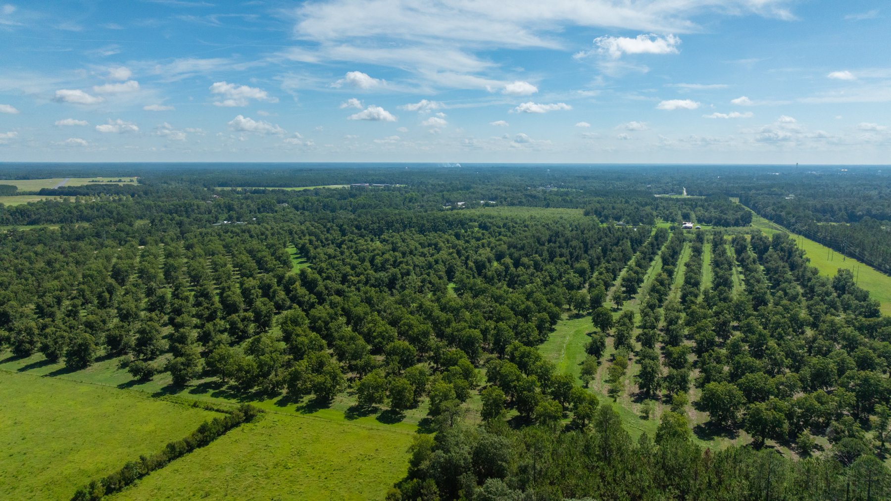 Image for 235± Acres – Woodard Orchard - Irrigated Pecan Orchard with Pond,  Homes, Buildings & Improvements - Prime Development Potential