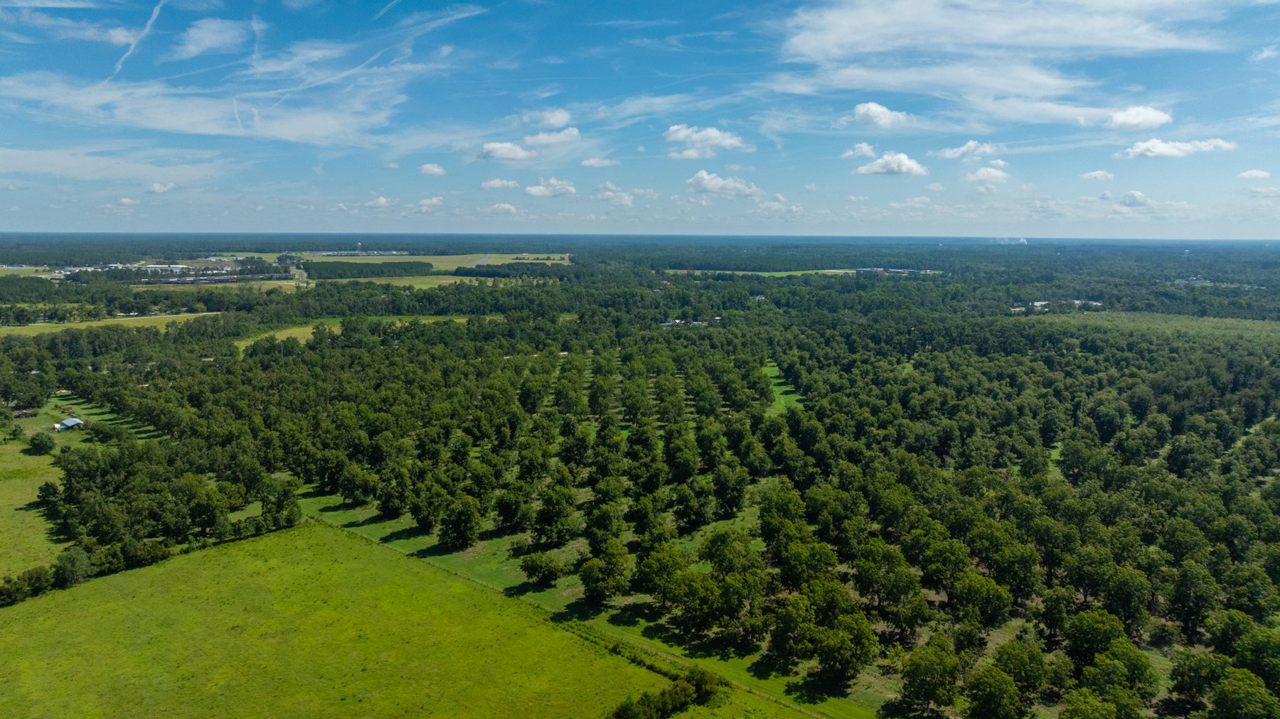 Image for 235± Acres – Woodard Orchard - Irrigated Pecan Orchard with Pond,  Homes, Buildings & Improvements - Prime Development Potential