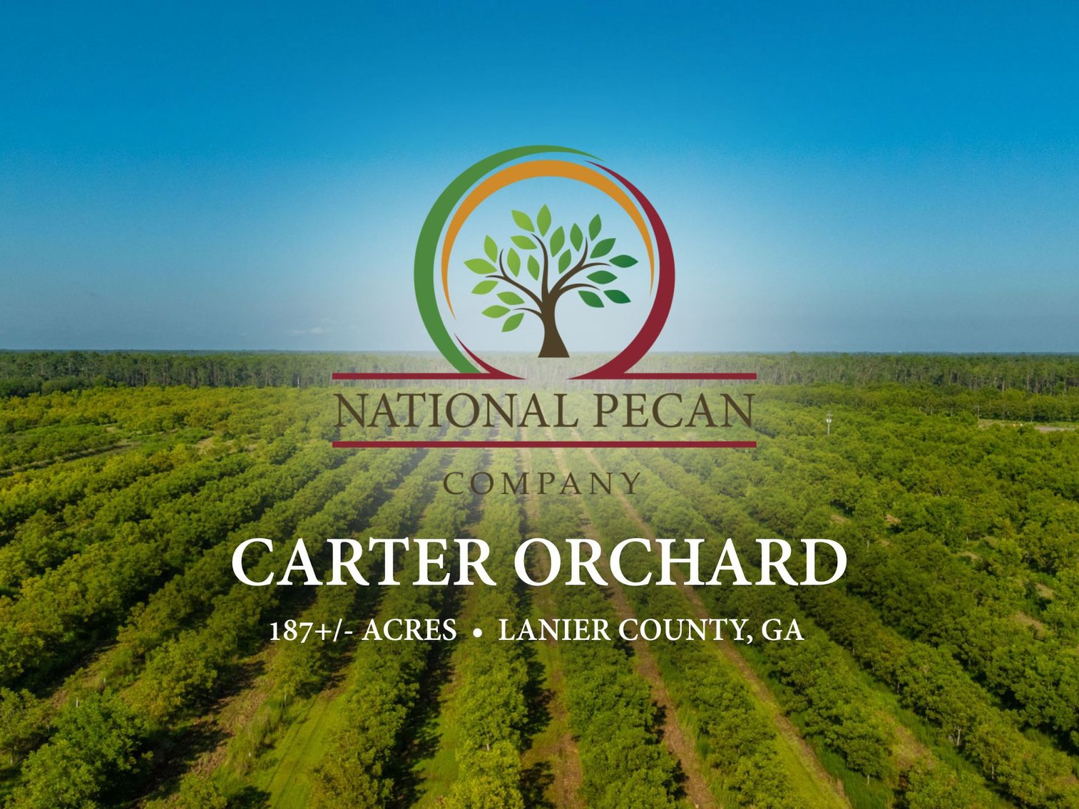 Image for 187± Acres - Carter Orchard - Residential Lots with Road Frontage on Lakeland Highway - Young Irrigated Orchard w/ Oak Hardwood Areas