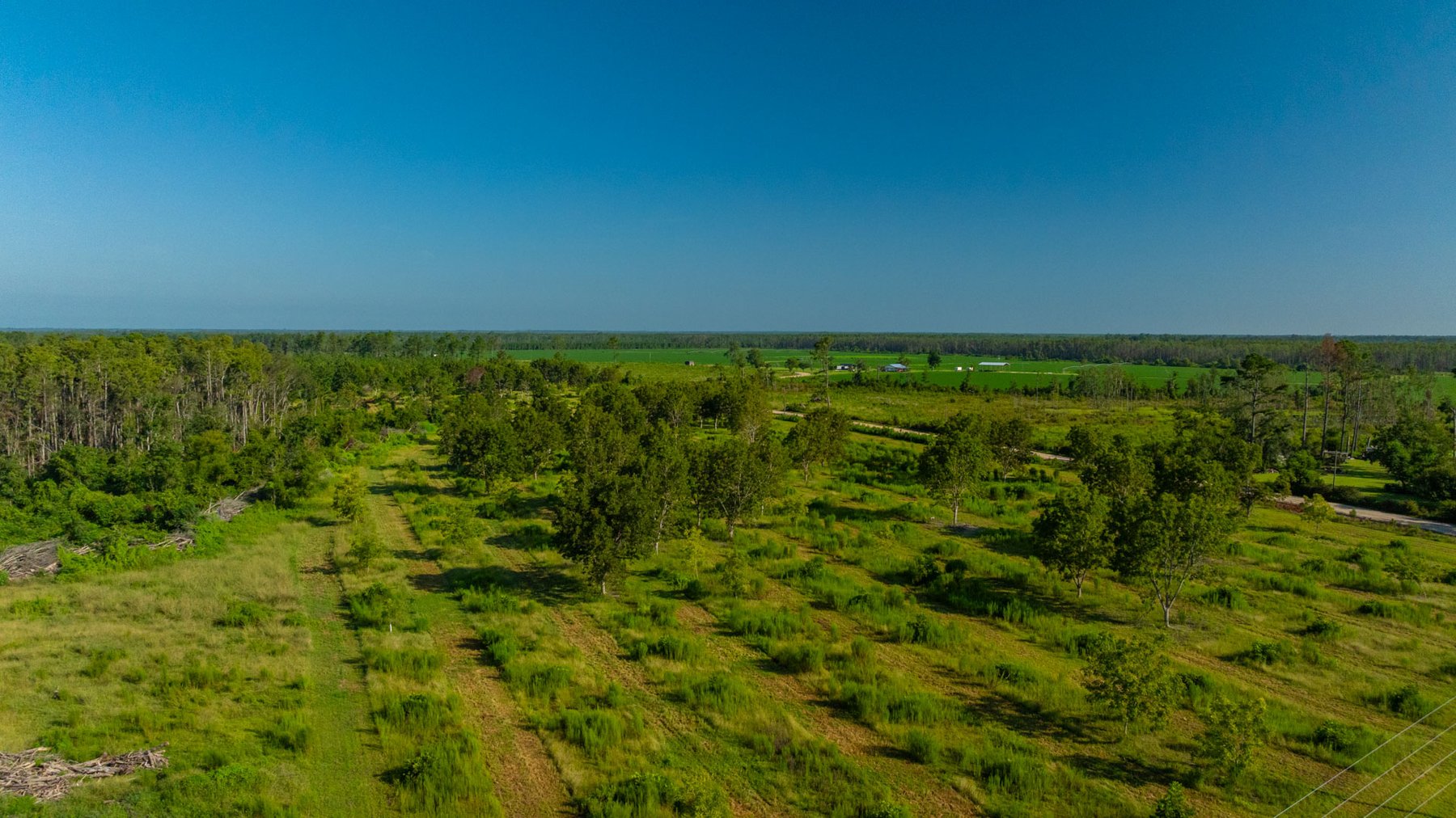 Image for 187± Acres - Carter Orchard - Residential Lots with Road Frontage on Lakeland Highway - Young Irrigated Orchard w/ Oak Hardwood Areas