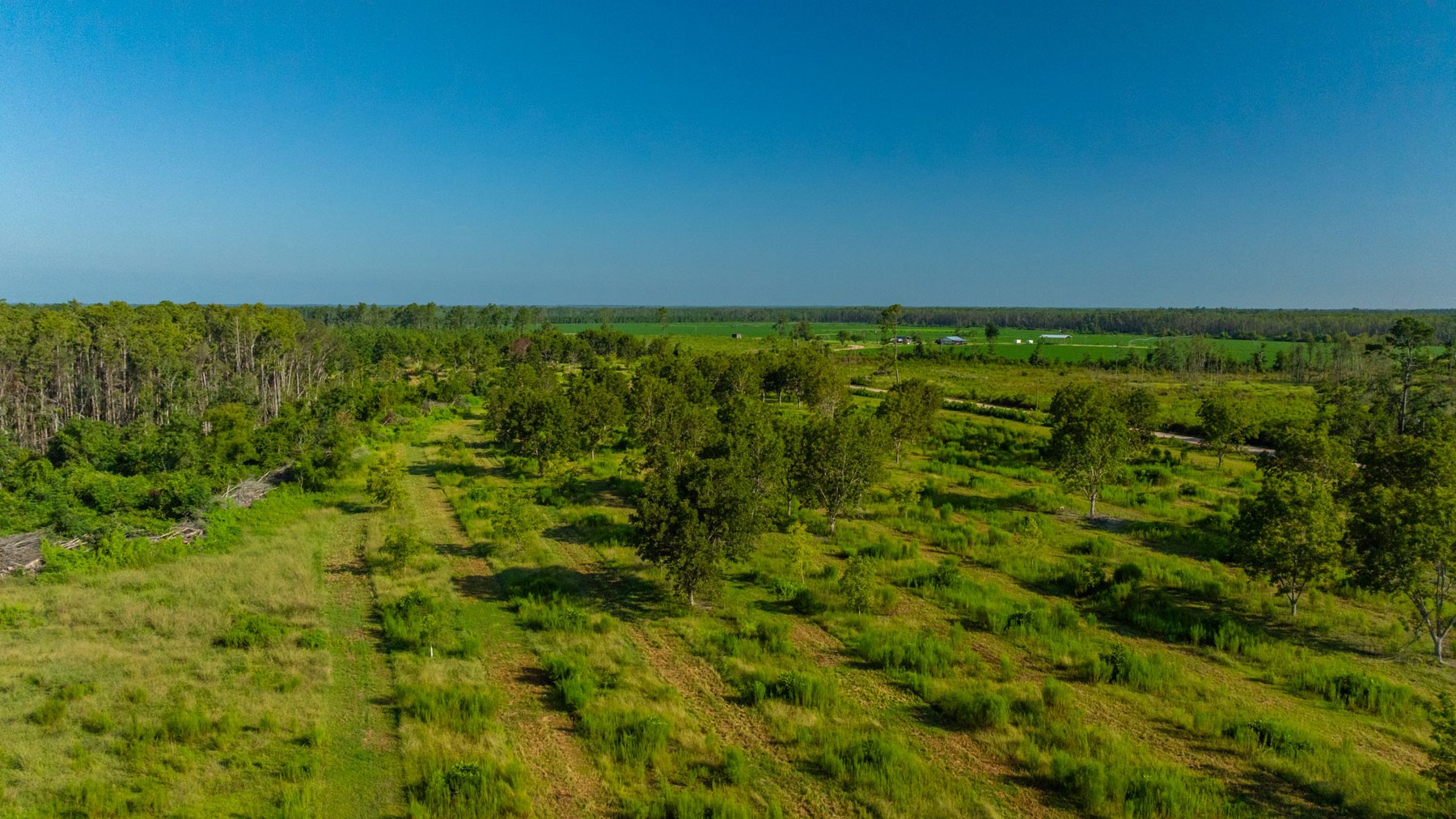 Image for 187± Acres - Carter Orchard - Residential Lots with Road Frontage on Lakeland Highway - Young Irrigated Orchard w/ Oak Hardwood Areas