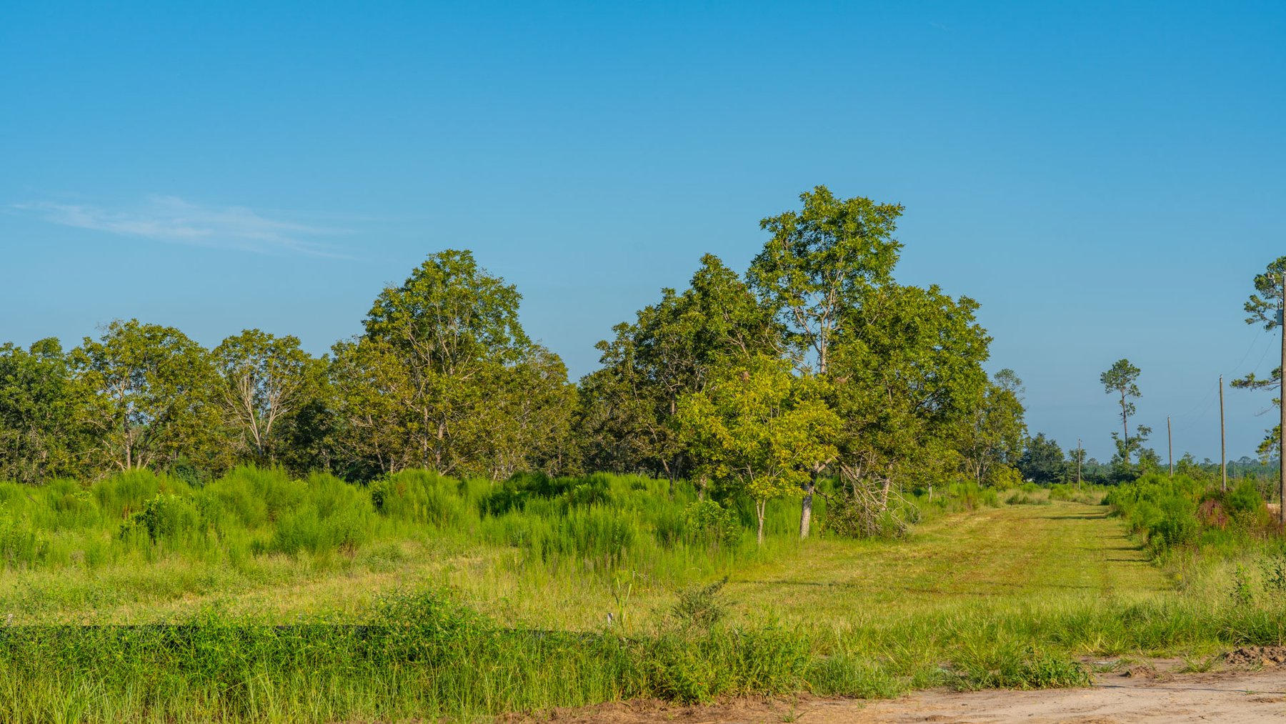 Image for 187± Acres - Carter Orchard - Residential Lots with Road Frontage on Lakeland Highway - Young Irrigated Orchard w/ Oak Hardwood Areas