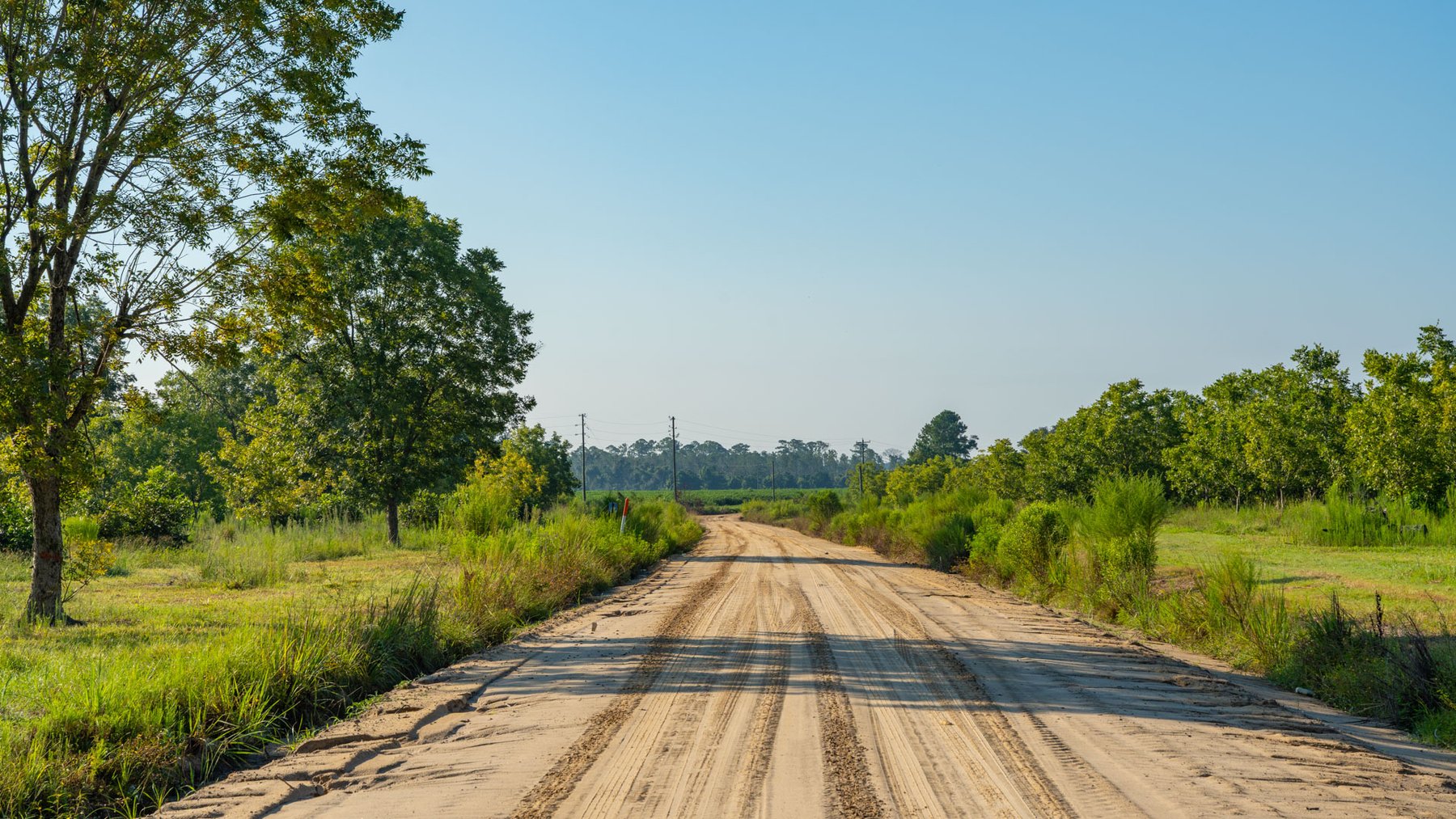 Image for 187± Acres - Carter Orchard - Residential Lots with Road Frontage on Lakeland Highway - Young Irrigated Orchard w/ Oak Hardwood Areas