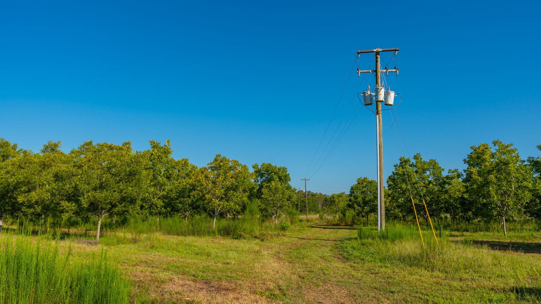 Image for 187± Acres - Carter Orchard - Residential Lots with Road Frontage on Lakeland Highway - Young Irrigated Orchard w/ Oak Hardwood Areas