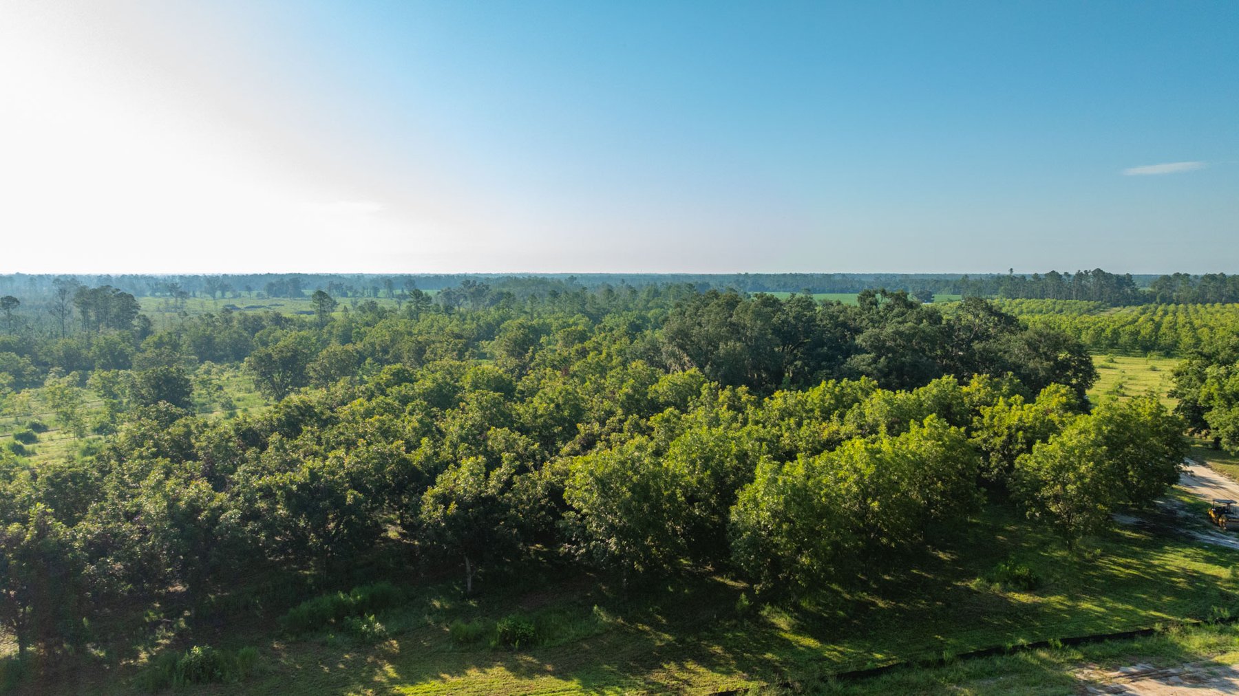Image for 187± Acres - Carter Orchard - Residential Lots with Road Frontage on Lakeland Highway - Young Irrigated Orchard w/ Oak Hardwood Areas