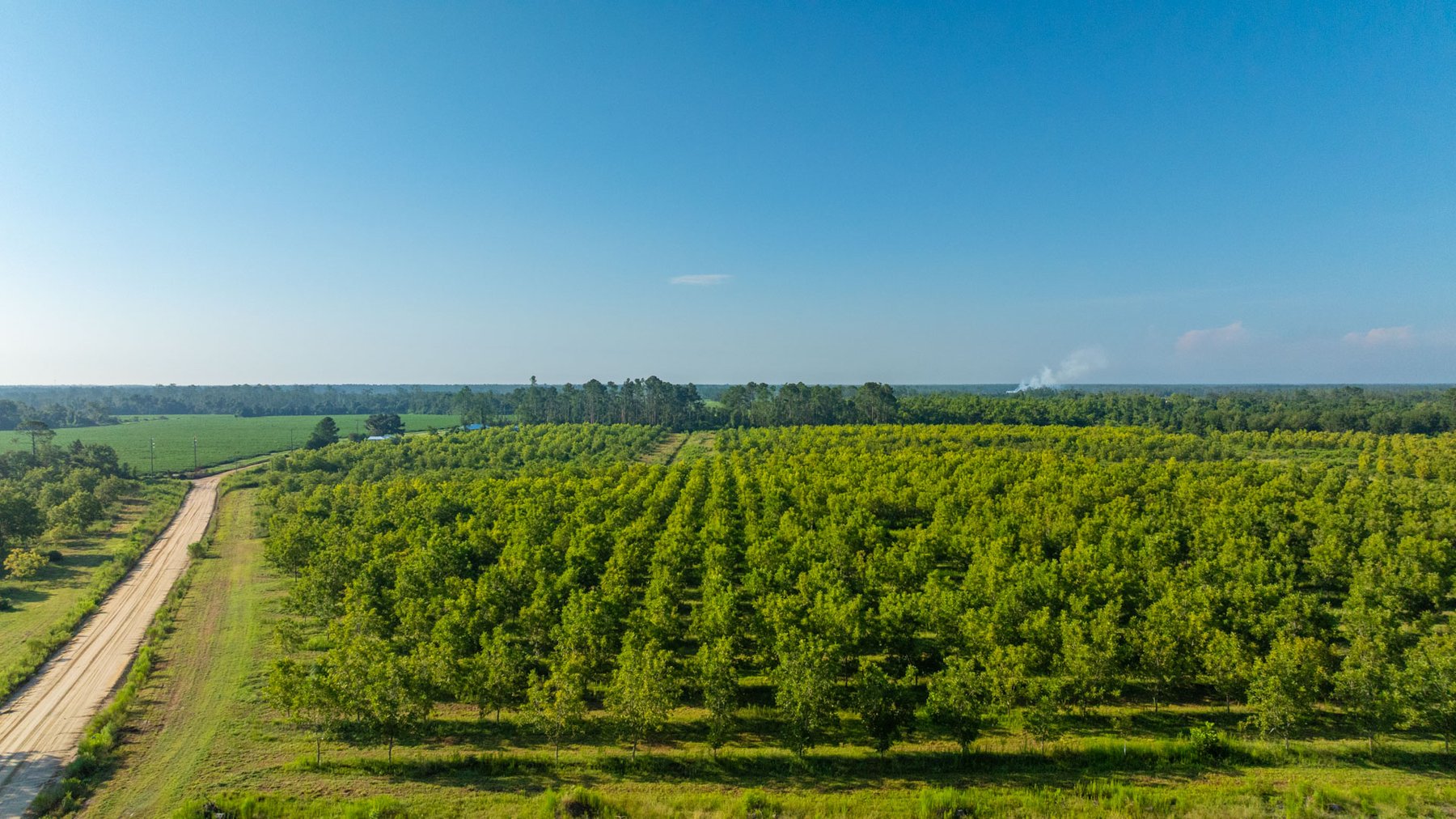 Image for 187± Acres - Carter Orchard - Residential Lots with Road Frontage on Lakeland Highway - Young Irrigated Orchard w/ Oak Hardwood Areas