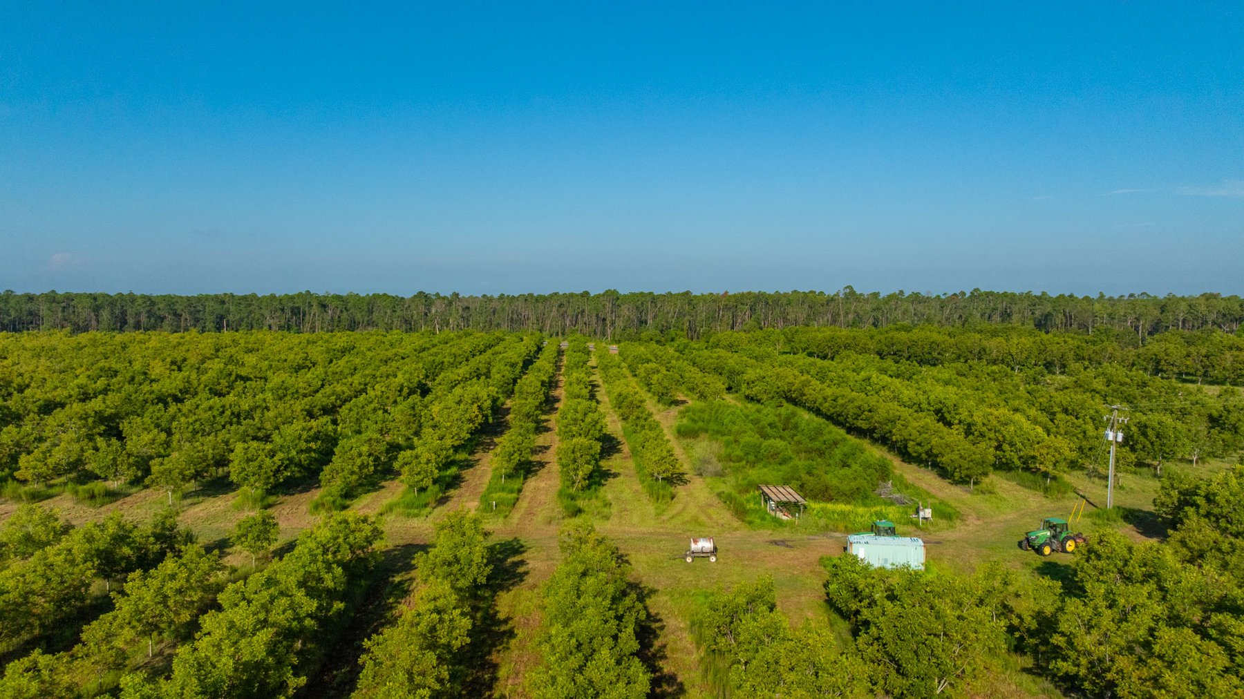 Image for 187± Acres - Carter Orchard - Residential Lots with Road Frontage on Lakeland Highway - Young Irrigated Orchard w/ Oak Hardwood Areas