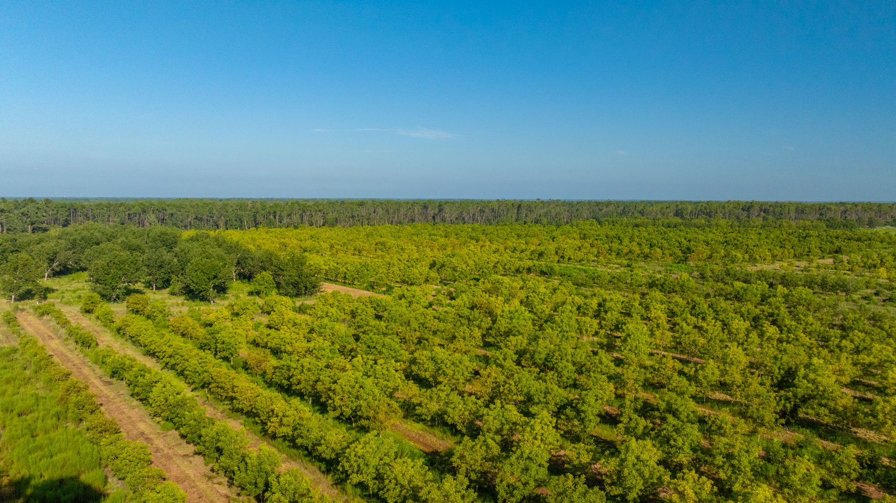Image for 187± Acres - Carter Orchard - Residential Lots with Road Frontage on Lakeland Highway - Young Irrigated Orchard w/ Oak Hardwood Areas