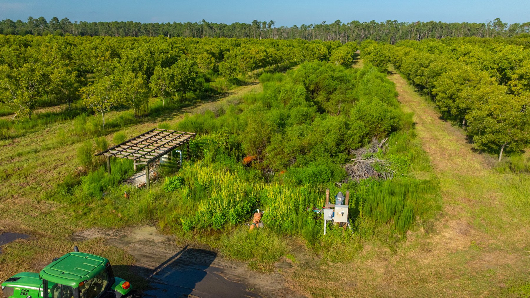 Image for 187± Acres - Carter Orchard - Residential Lots with Road Frontage on Lakeland Highway - Young Irrigated Orchard w/ Oak Hardwood Areas