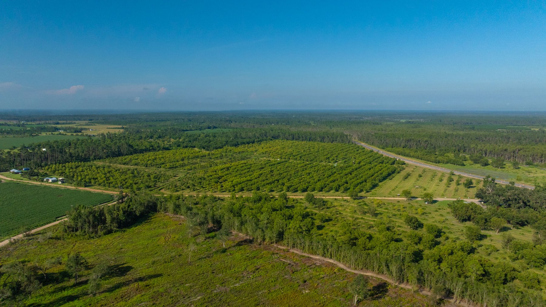 Image for 187± Acres - Carter Orchard - Residential Lots with Road Frontage on Lakeland Highway - Young Irrigated Orchard w/ Oak Hardwood Areas