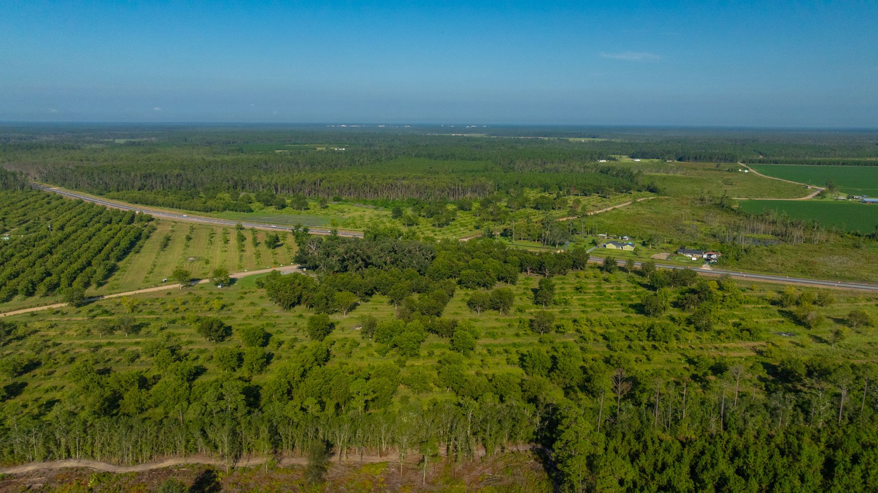 Image for 187± Acres - Carter Orchard - Residential Lots with Road Frontage on Lakeland Highway - Young Irrigated Orchard w/ Oak Hardwood Areas