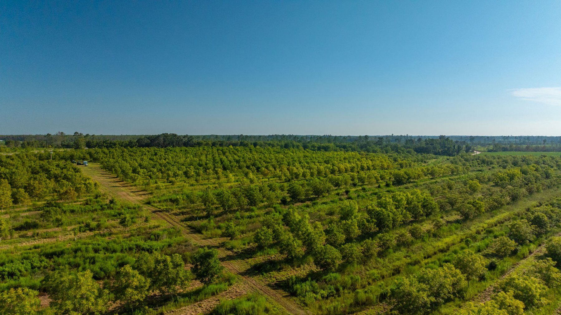 Image for 187± Acres - Carter Orchard - Residential Lots with Road Frontage on Lakeland Highway - Young Irrigated Orchard w/ Oak Hardwood Areas