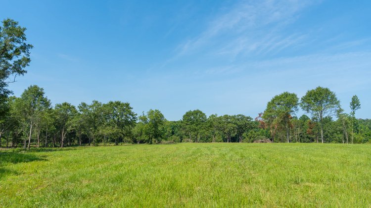 Image for 16.77 +/- Acres – The Tobler Oaks Tract 1 - Prime Potential Homesite w/ Ample Recreational Acreage