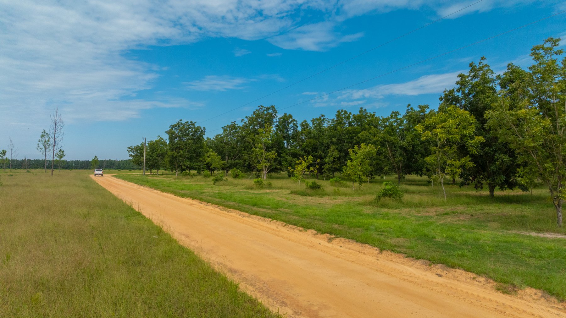 Image for 97± Acres - New Watson Orchard - Irrigated Pecan Orchard with Strong Varieties - Mini-Farm & Homesite Potential