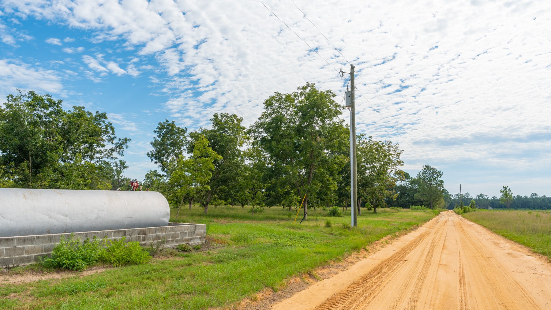 Image for 97± Acres - New Watson Orchard - Irrigated Pecan Orchard with Strong Varieties - Mini-Farm & Homesite Potential