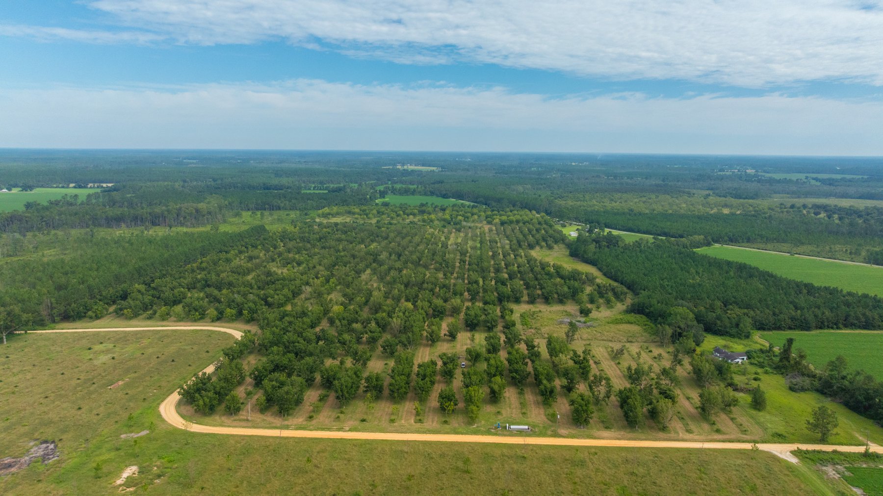Image for 97± Acres - New Watson Orchard - Irrigated Pecan Orchard with Strong Varieties - Mini-Farm & Homesite Potential