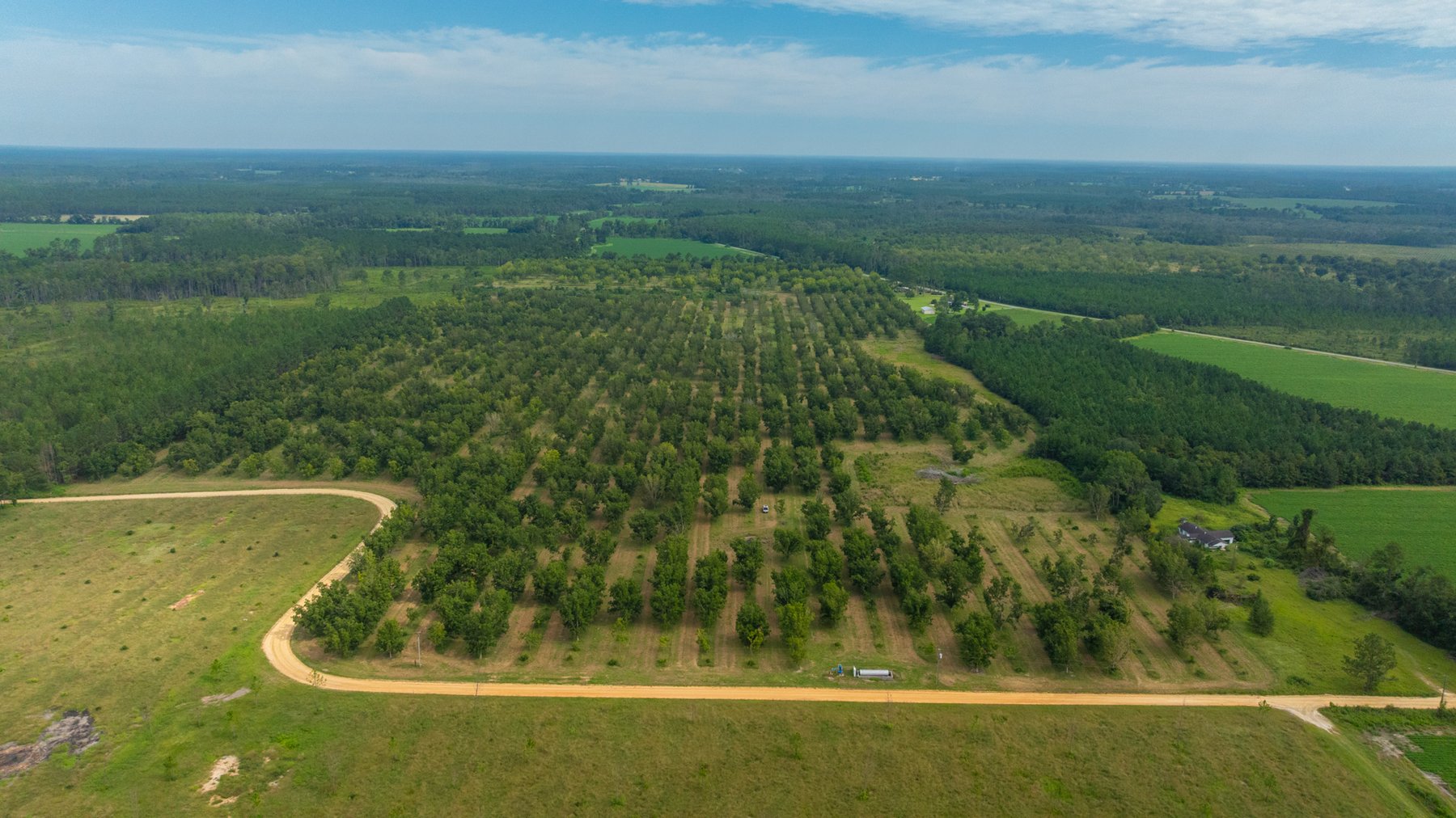 Image for 97± Acres - New Watson Orchard - Irrigated Pecan Orchard with Strong Varieties - Mini-Farm & Homesite Potential