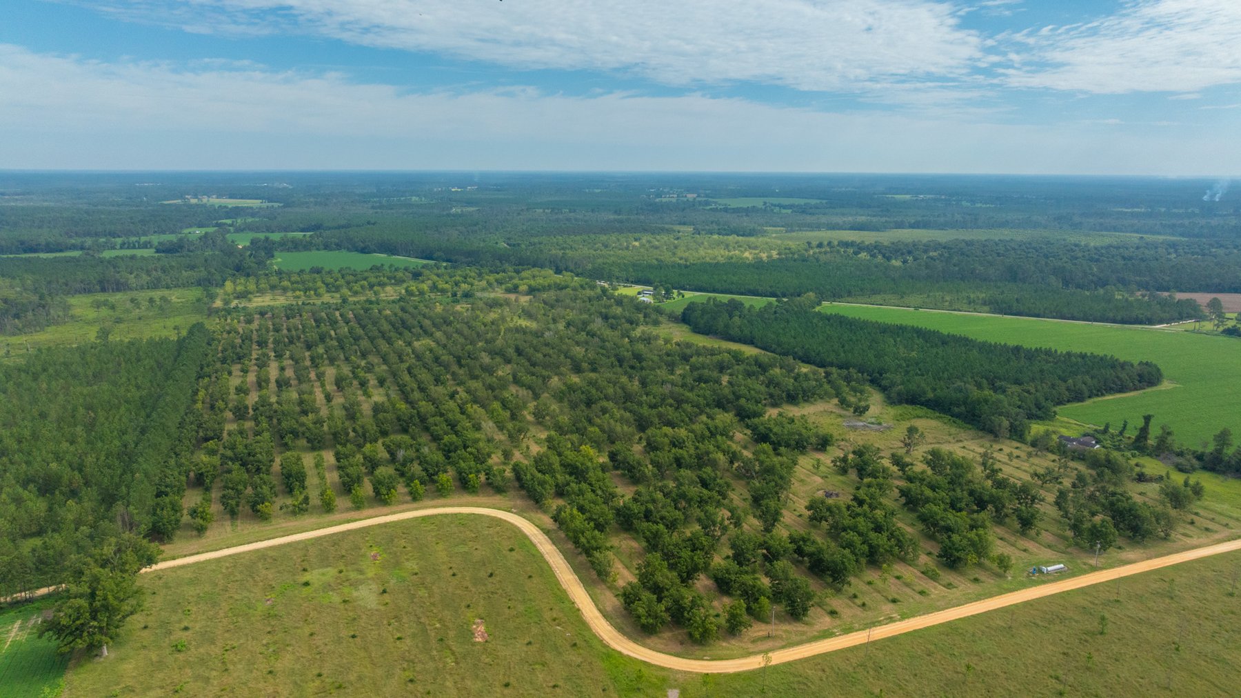 Image for 97± Acres - New Watson Orchard - Irrigated Pecan Orchard with Strong Varieties - Mini-Farm & Homesite Potential