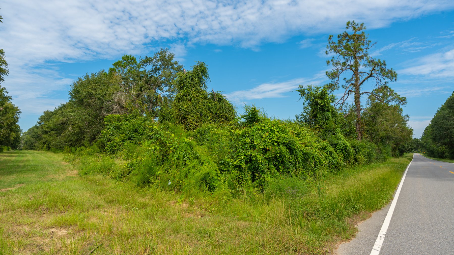 Image for 97± Acres - New Watson Orchard - Irrigated Pecan Orchard with Strong Varieties - Mini-Farm & Homesite Potential