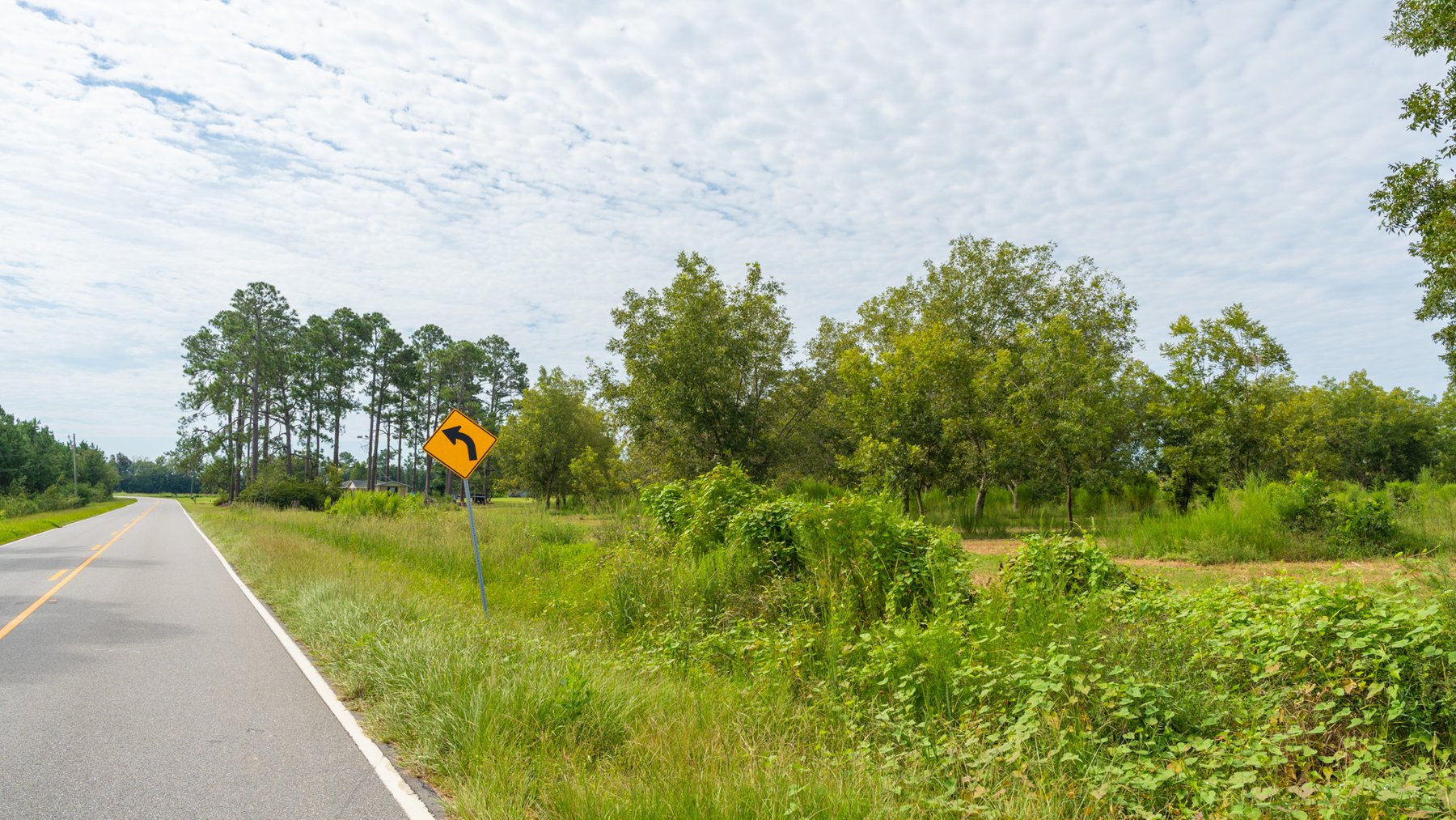 Image for 97± Acres - New Watson Orchard - Irrigated Pecan Orchard with Strong Varieties - Mini-Farm & Homesite Potential