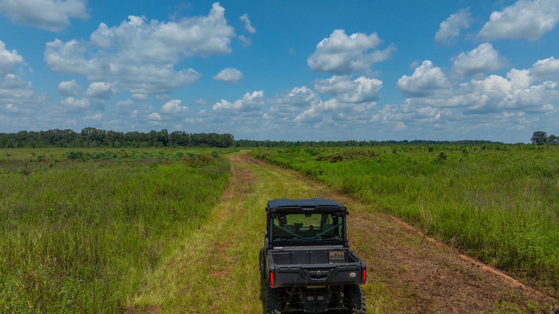 Image for 516.20 +/- Acres – The Chambliss Place  (4) - Prime Terrell County Recreational Tracts - Row Crop Cultivation Potential