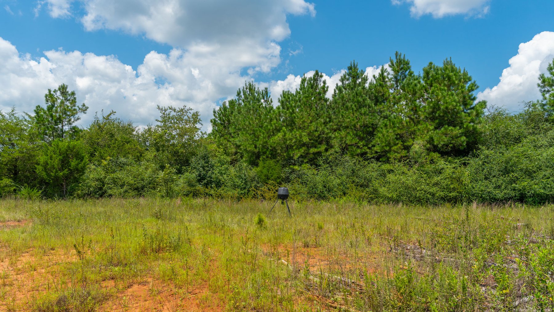Image for 516.20 +/- Acres – The Chambliss Place  (4) - Prime Terrell County Recreational Tracts - Row Crop Cultivation Potential