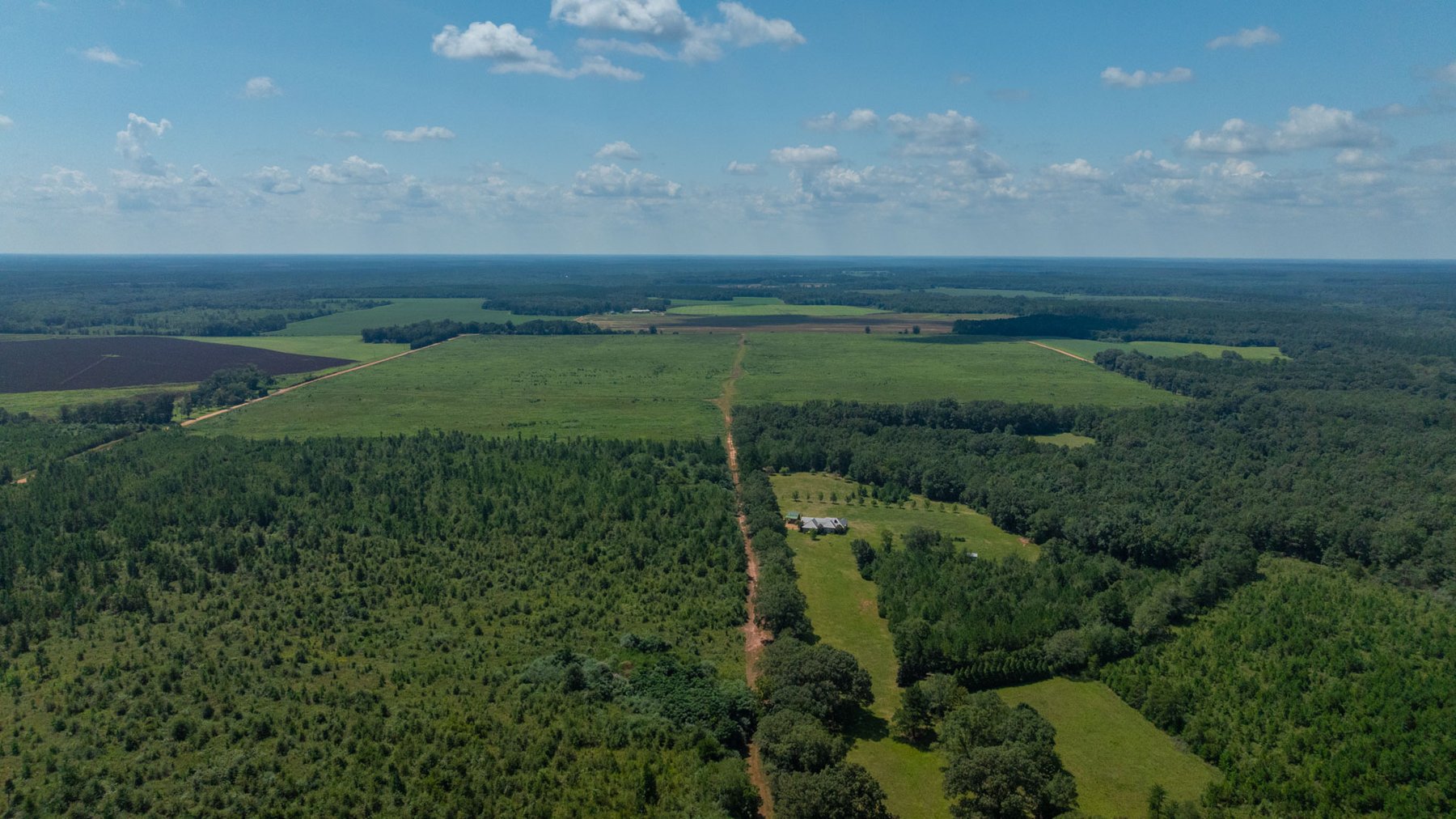 Image for 516.20 +/- Acres – The Chambliss Place  (4) - Prime Terrell County Recreational Tracts - Row Crop Cultivation Potential