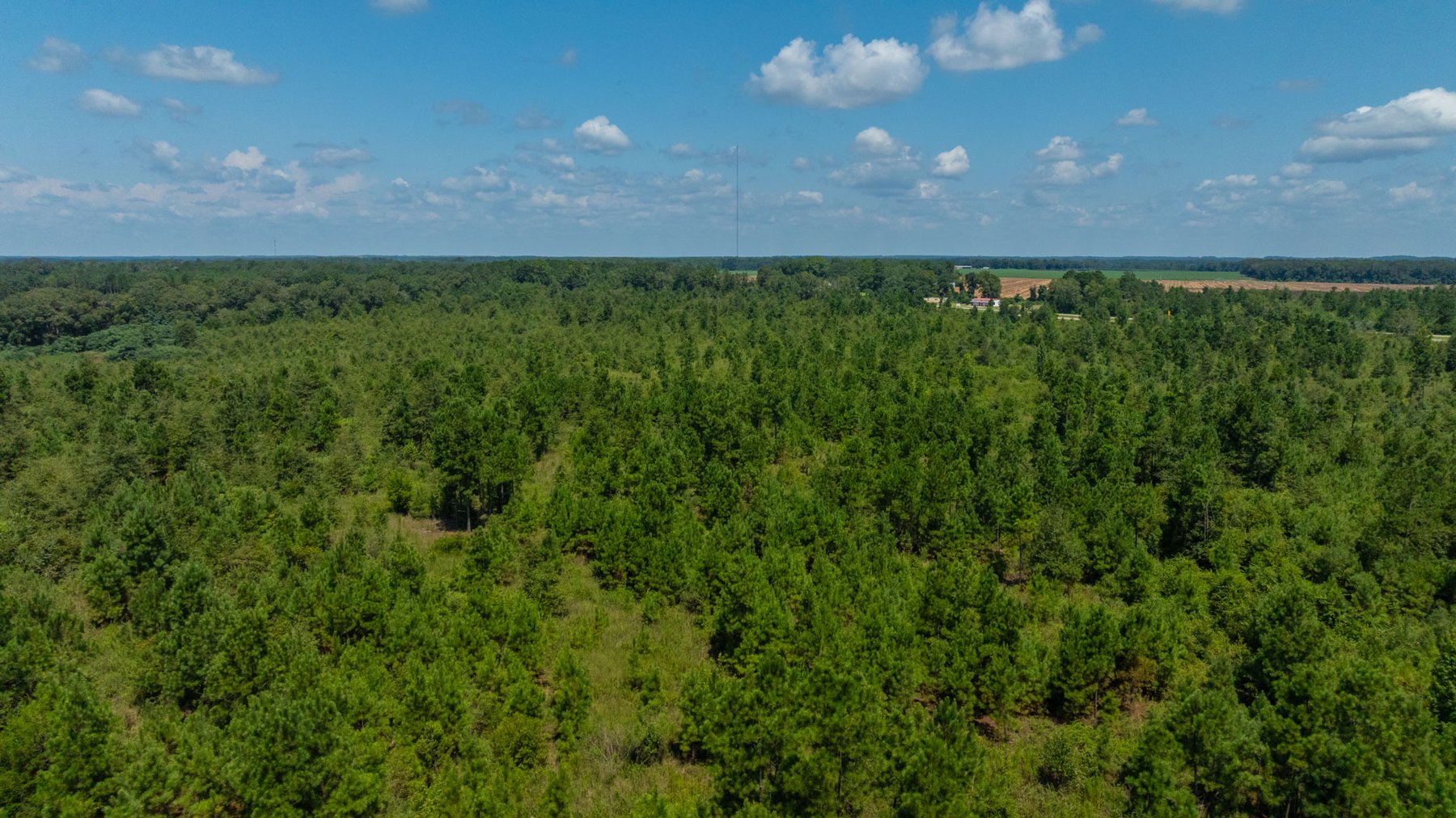 Image for 516.20 +/- Acres – The Chambliss Place  (4) - Prime Terrell County Recreational Tracts - Row Crop Cultivation Potential