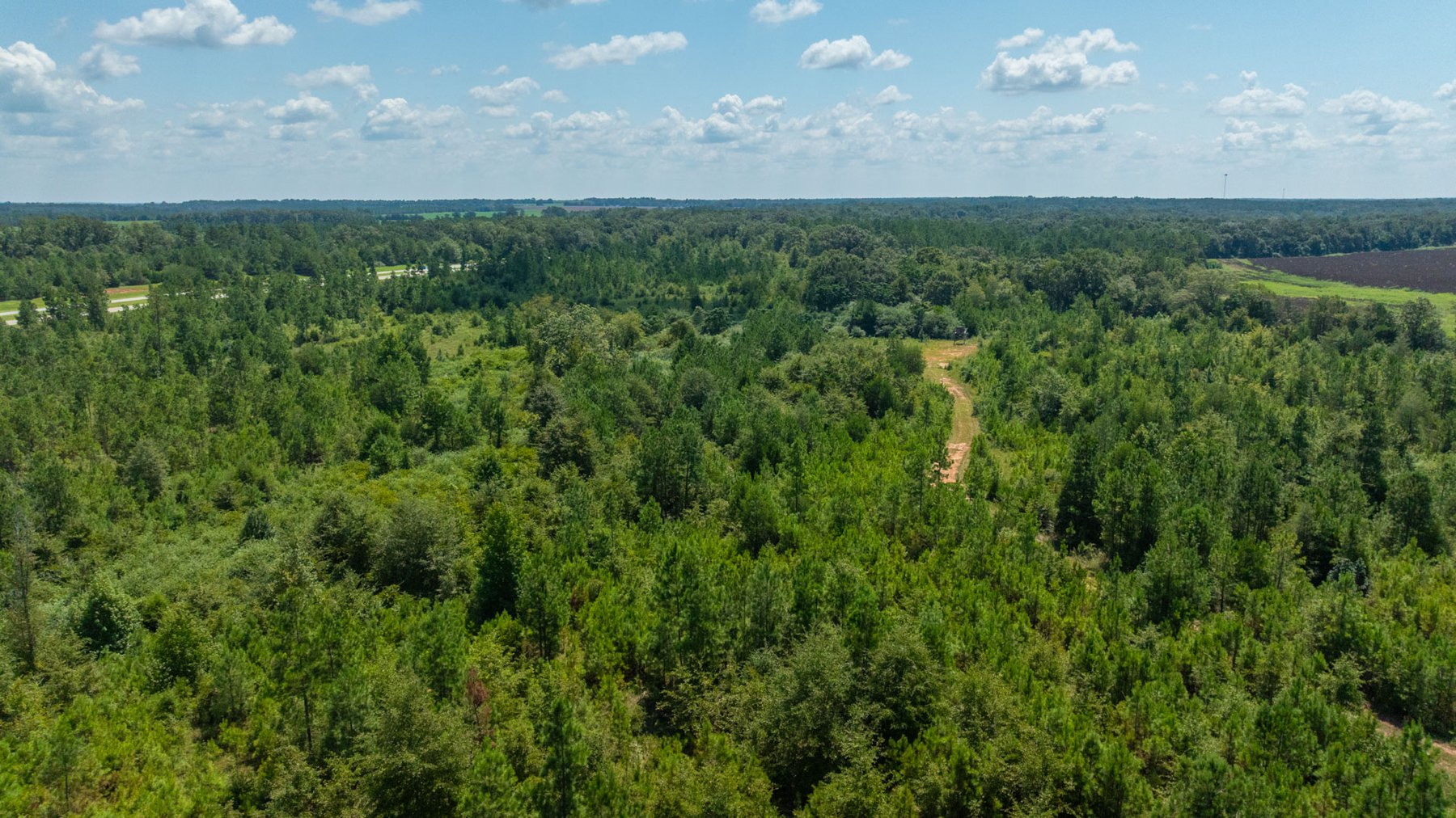 Image for 516.20 +/- Acres – The Chambliss Place  (4) - Prime Terrell County Recreational Tracts - Row Crop Cultivation Potential