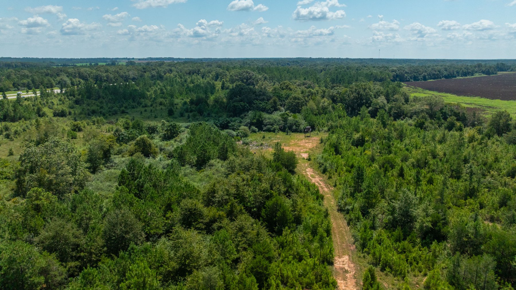Image for 516.20 +/- Acres – The Chambliss Place  (4) - Prime Terrell County Recreational Tracts - Row Crop Cultivation Potential