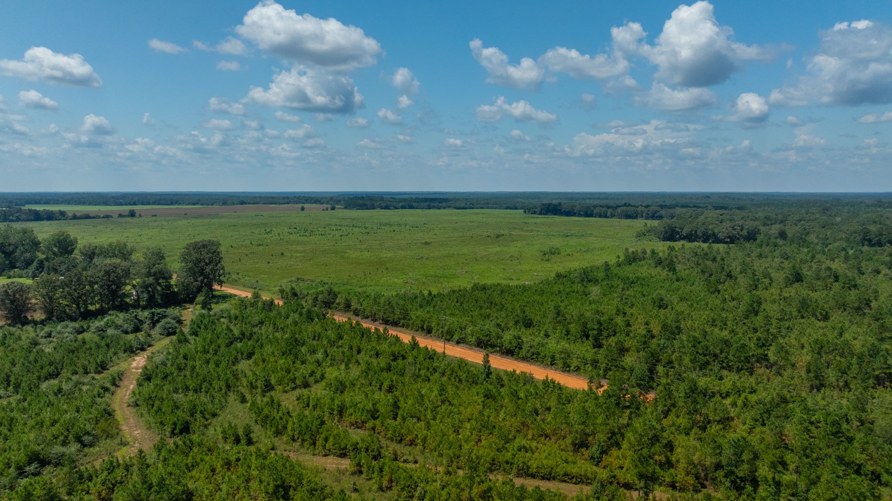 Image for 516.20 +/- Acres – The Chambliss Place  (4) - Prime Terrell County Recreational Tracts - Row Crop Cultivation Potential