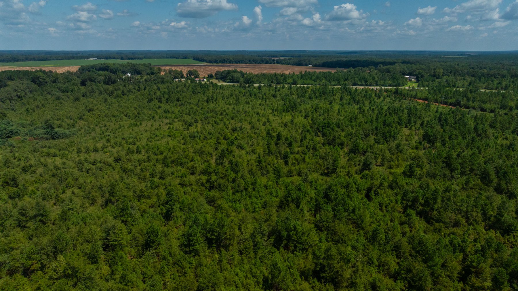 Image for 516.20 +/- Acres – The Chambliss Place  (4) - Prime Terrell County Recreational Tracts - Row Crop Cultivation Potential