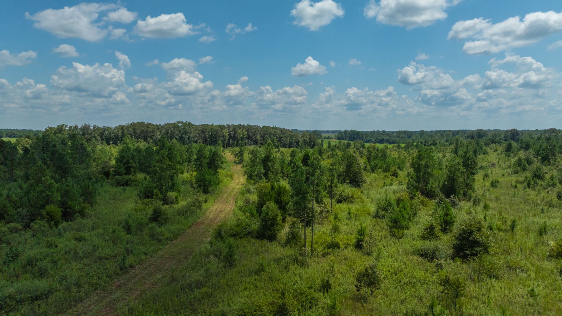 Image for 516.20 +/- Acres – The Chambliss Place  (4) - Prime Terrell County Recreational Tracts - Row Crop Cultivation Potential